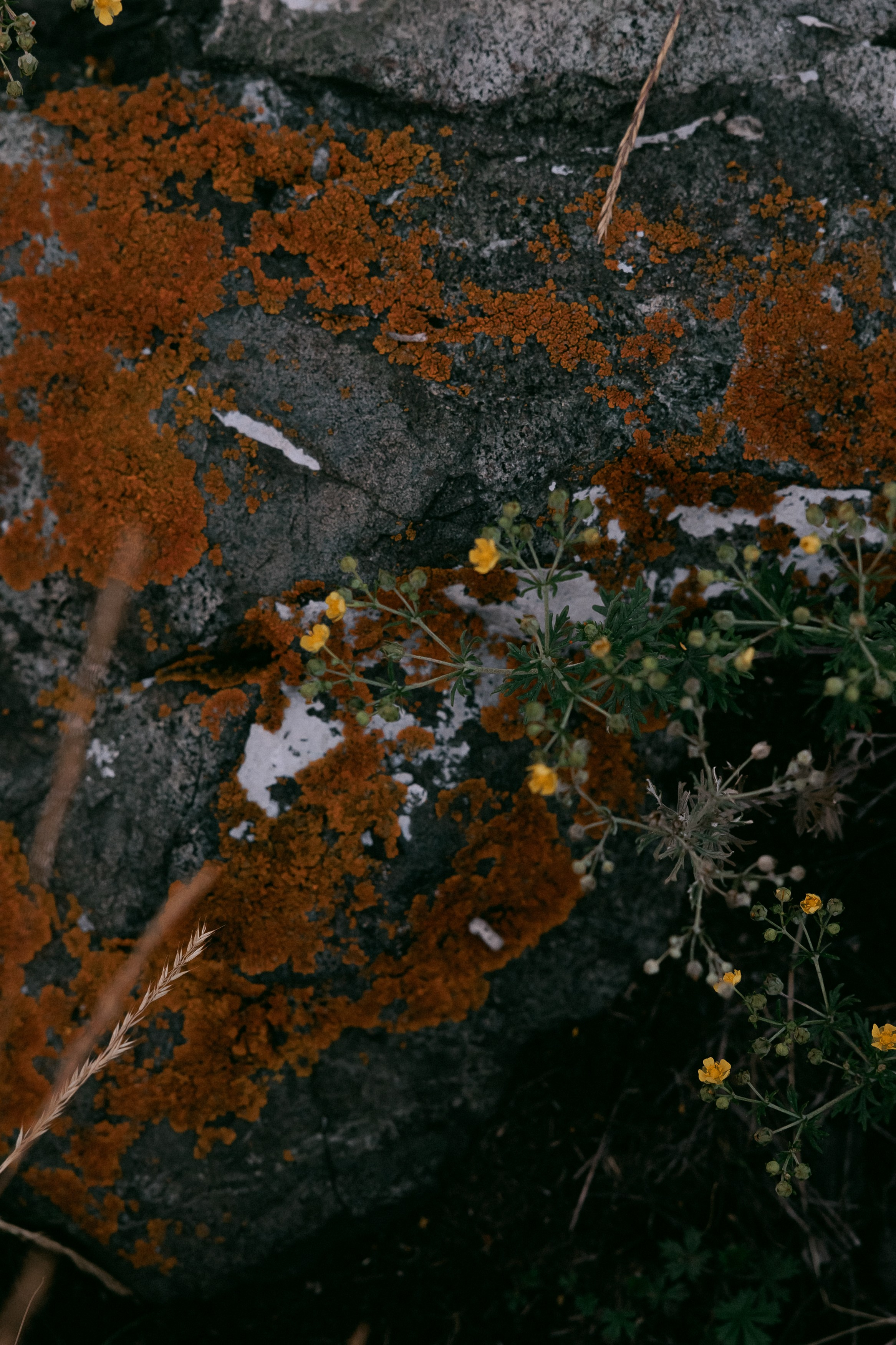 Бренд одежды ENSO. Репортажный фотограф Макс Брагин