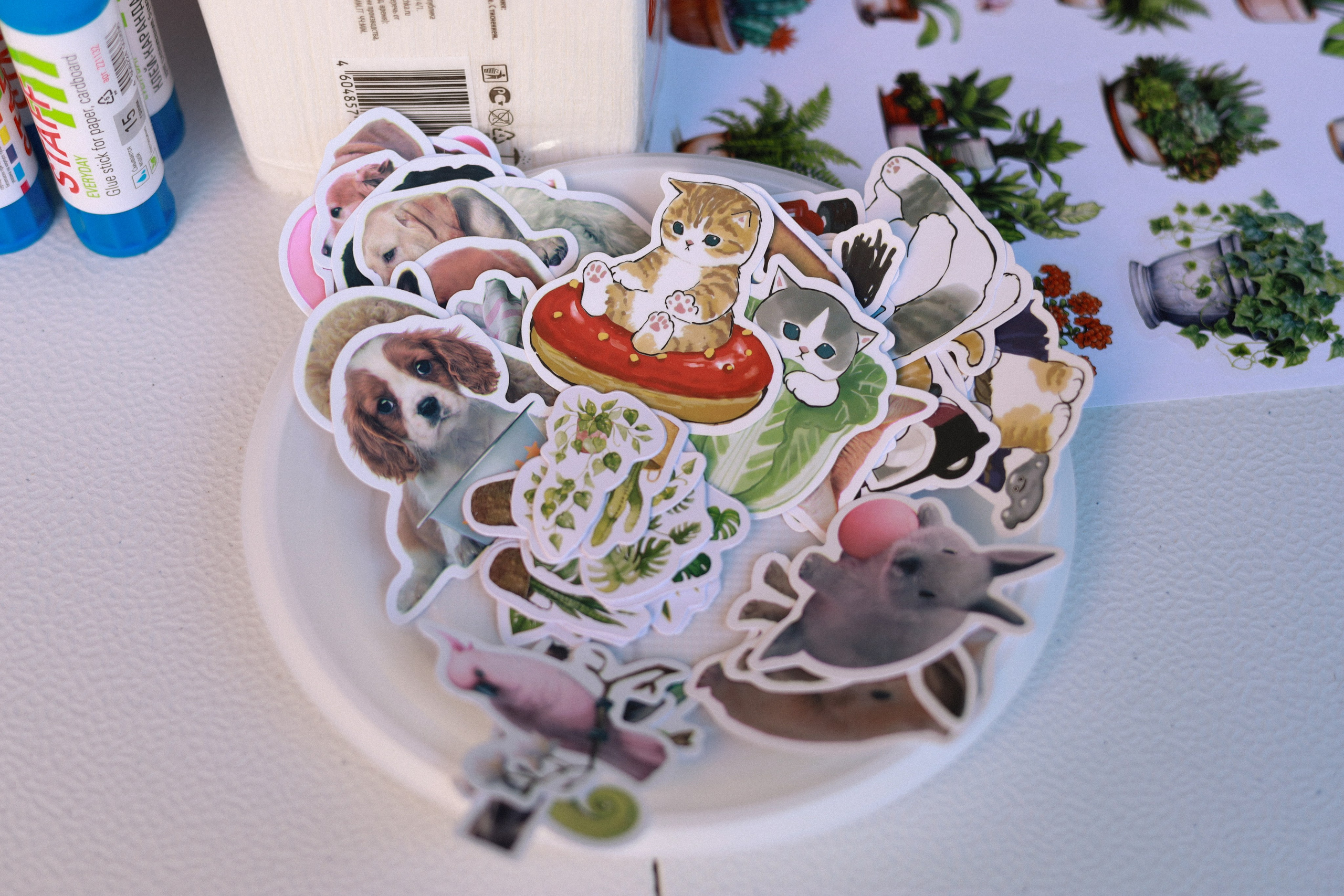 НОНЦ. Фотограф Мурманск | Нижний Новгород • Анна Хижняк