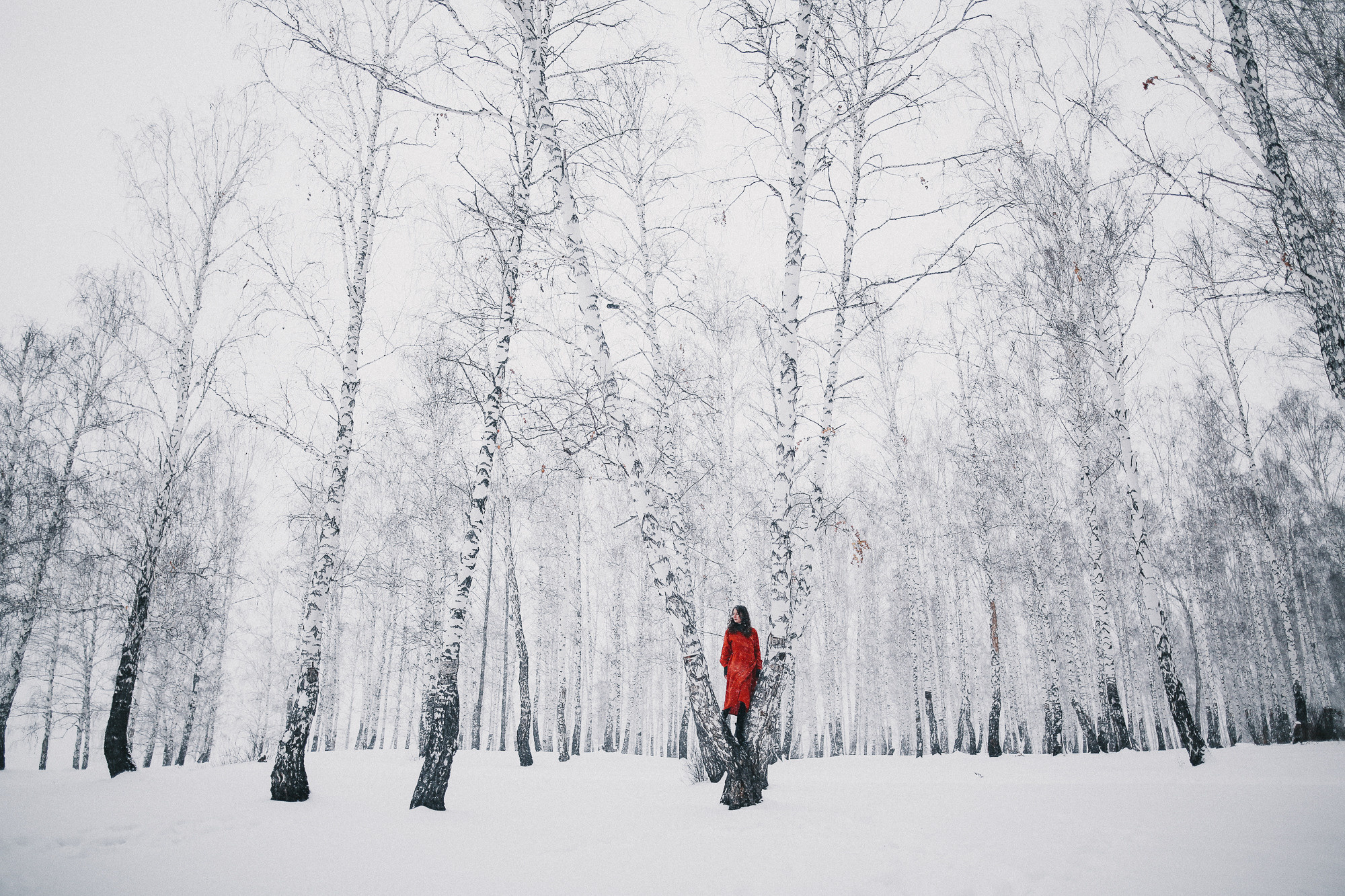 Танец. Соня Черных (sophieblack)