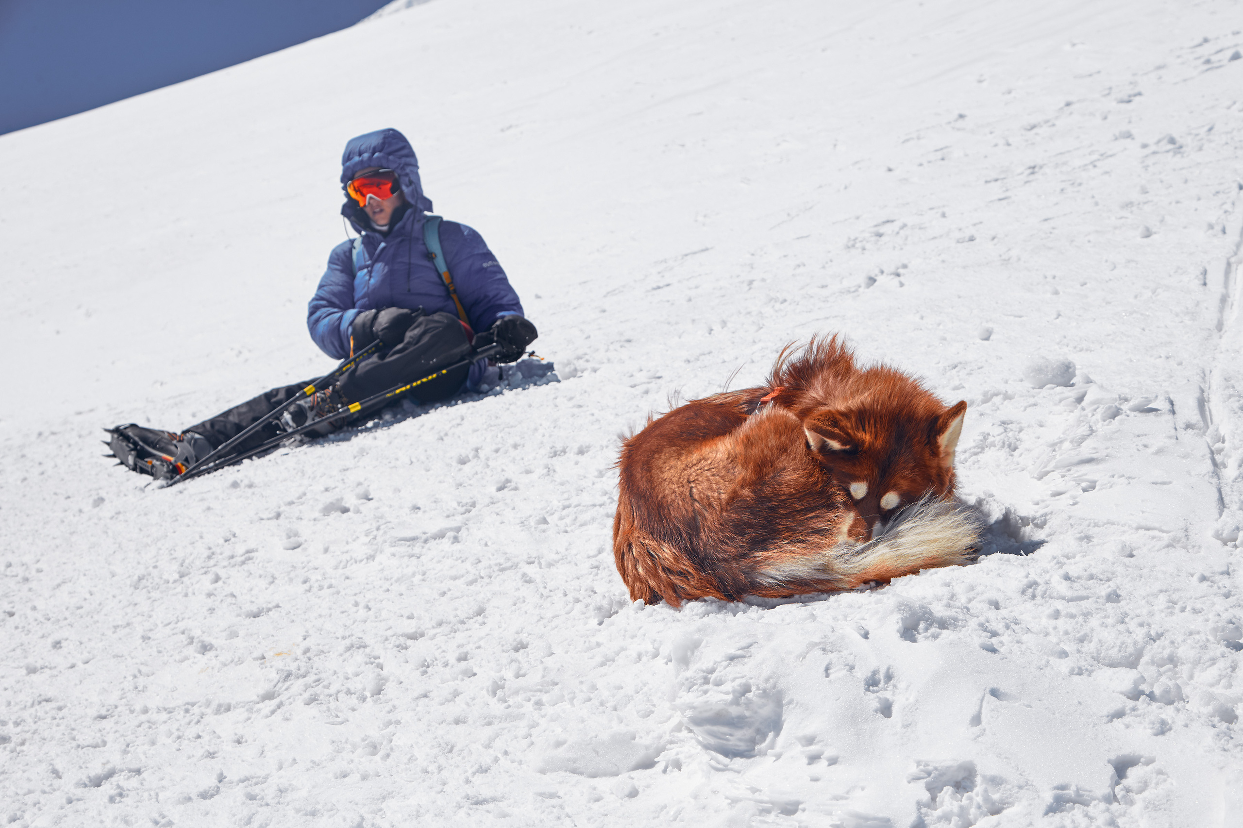 Эльбрус. Фотограф Тимофей Юров Москва