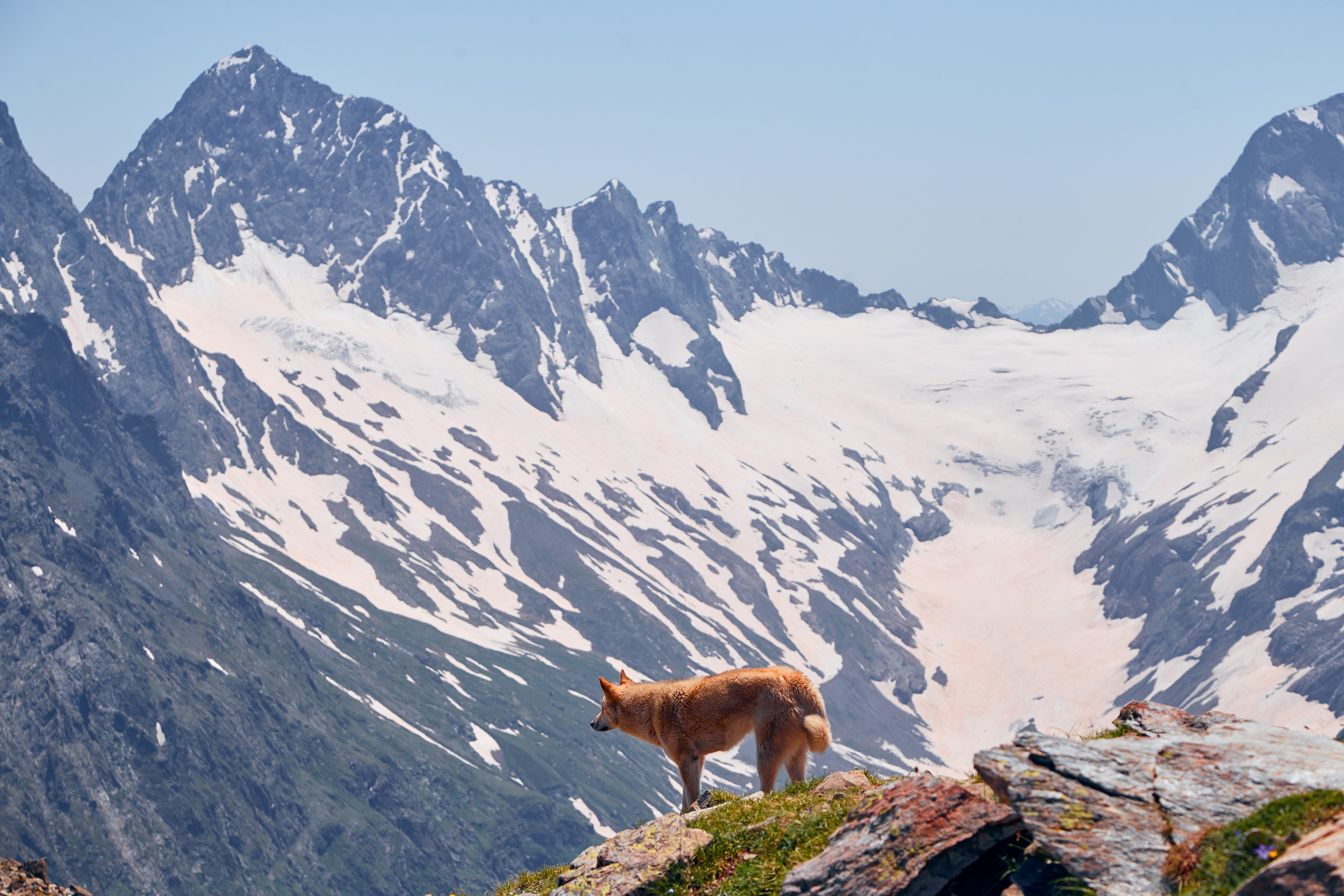 Домбай. Фотограф Тимофей Юров Москва