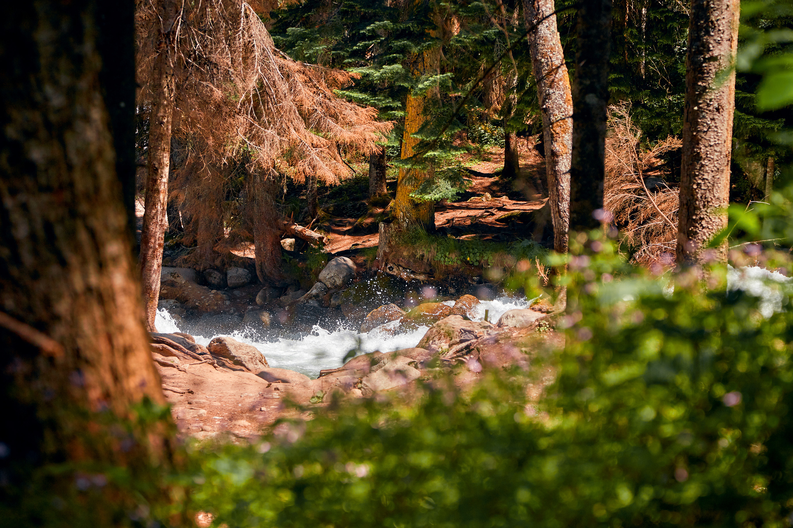 Домбай. Фотограф Тимофей Юров Москва