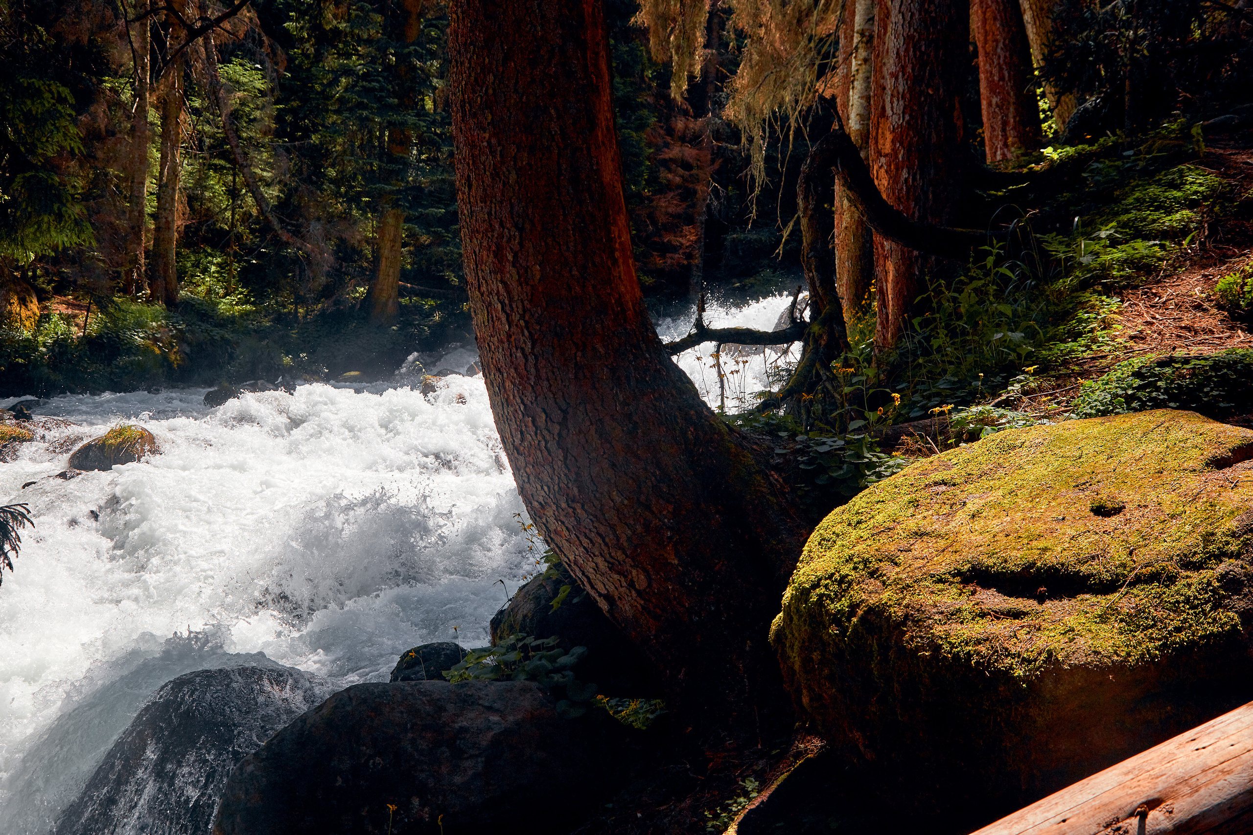Домбай. Фотограф Тимофей Юров Москва