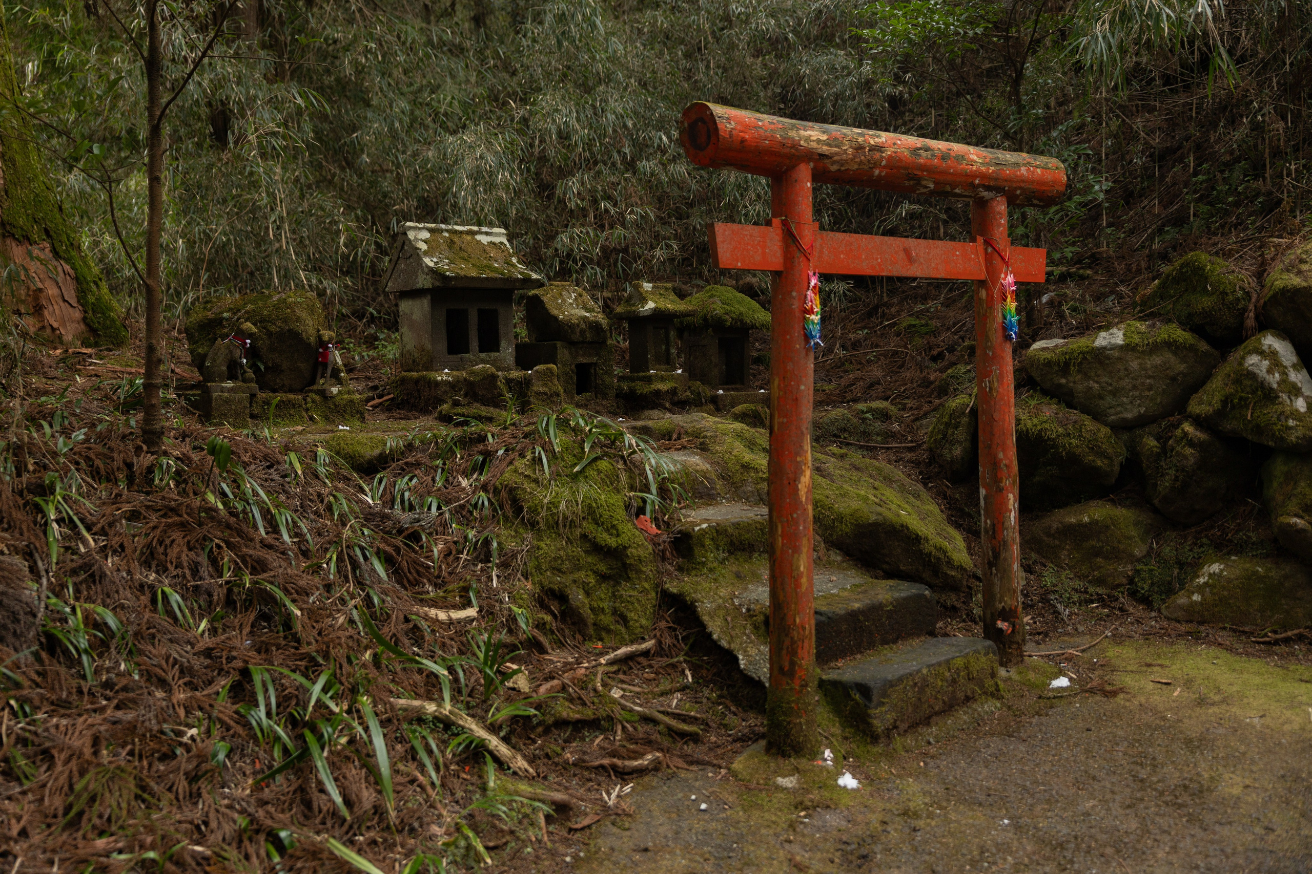 Пейзажи фотографа Виктор Степанов. Фотограф Виктор Степанов