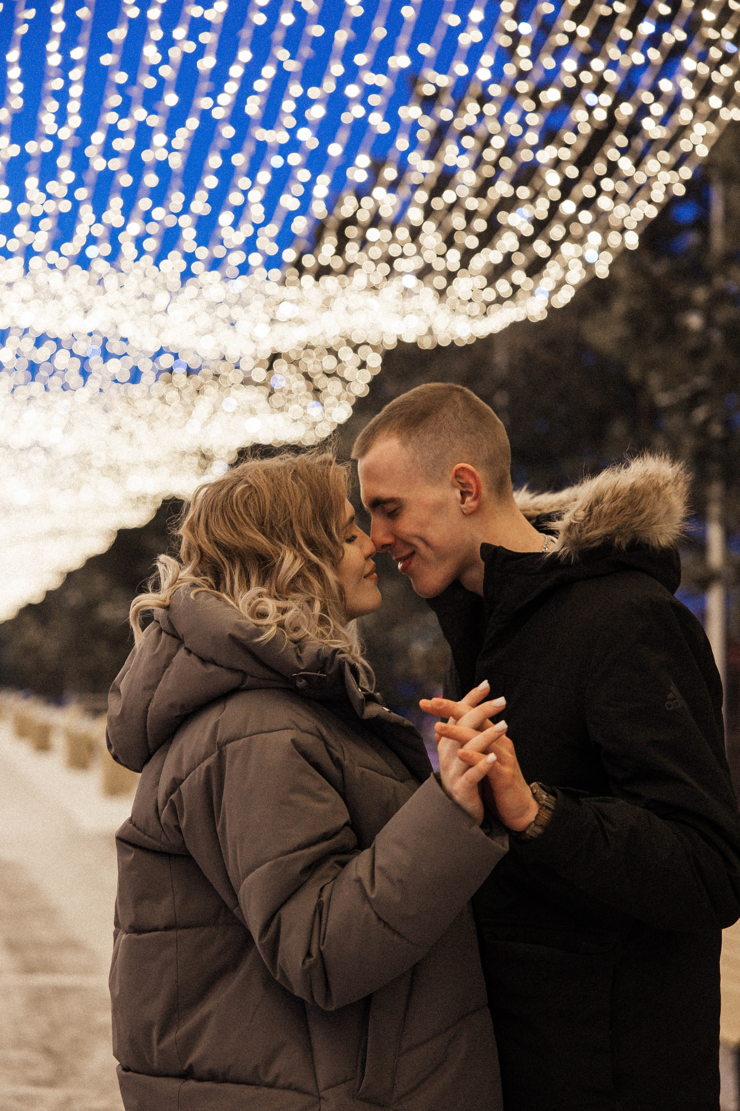 Предложение. Главная