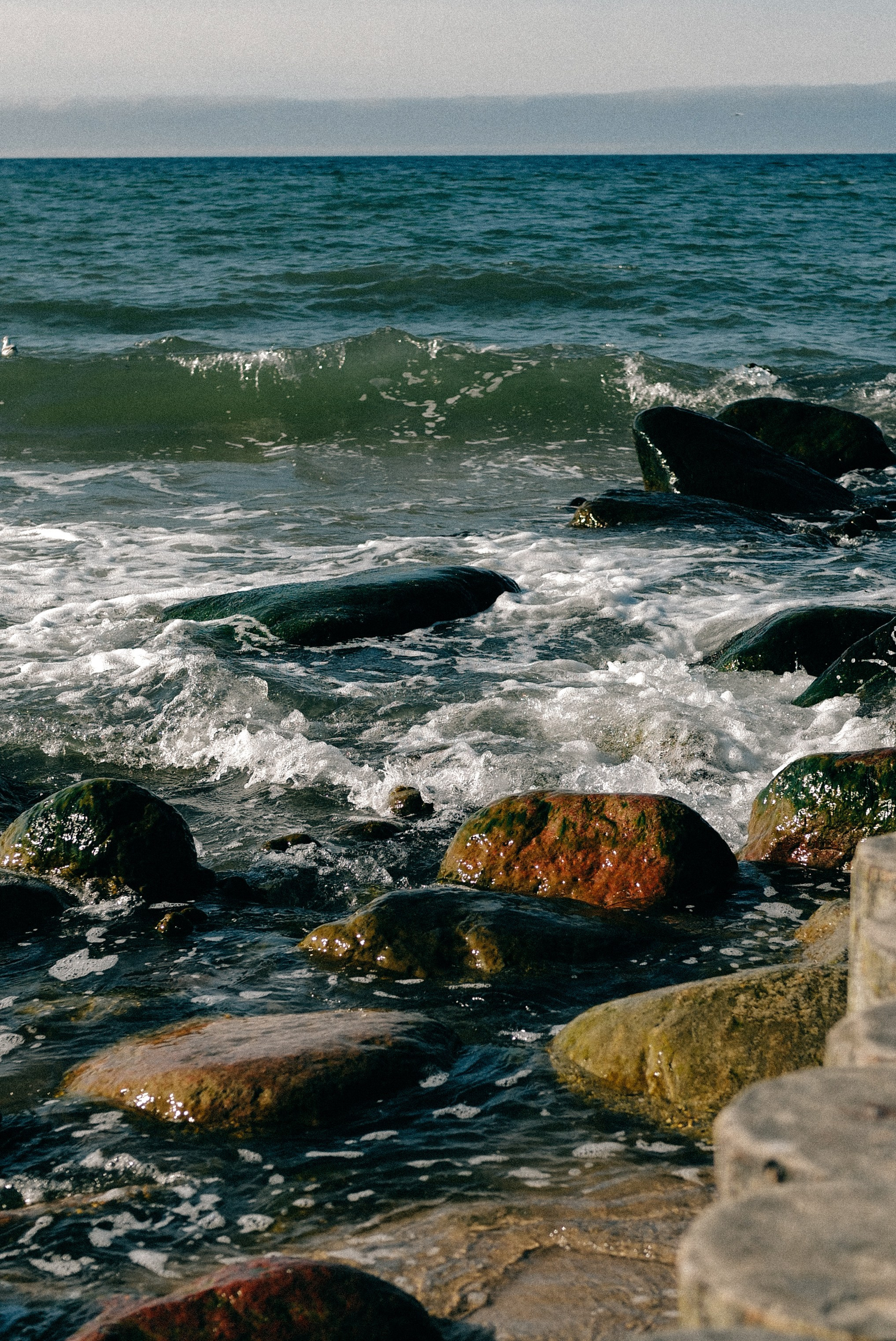 Zelenogradsk. Фотограф София Комкина