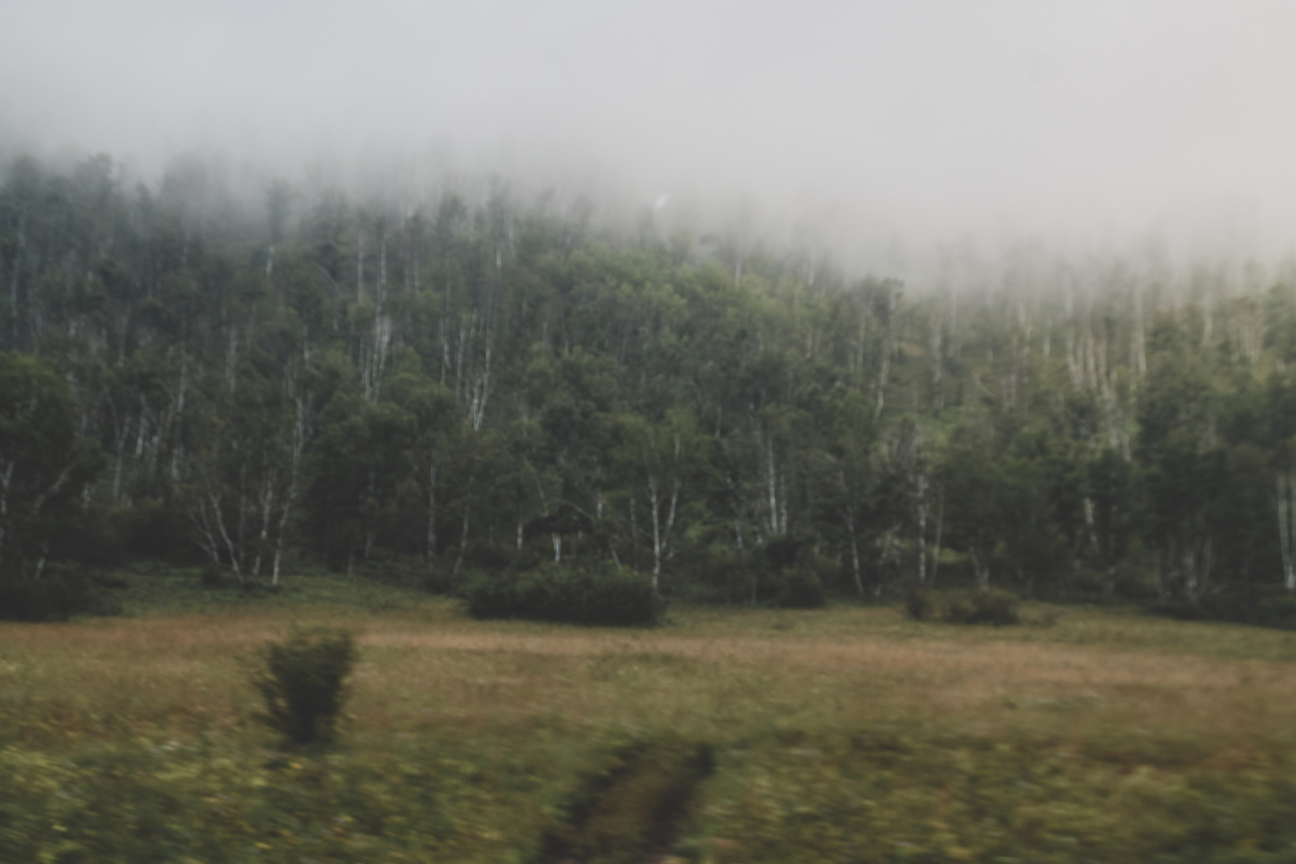 Алтай. Фотограф Александр Рауш