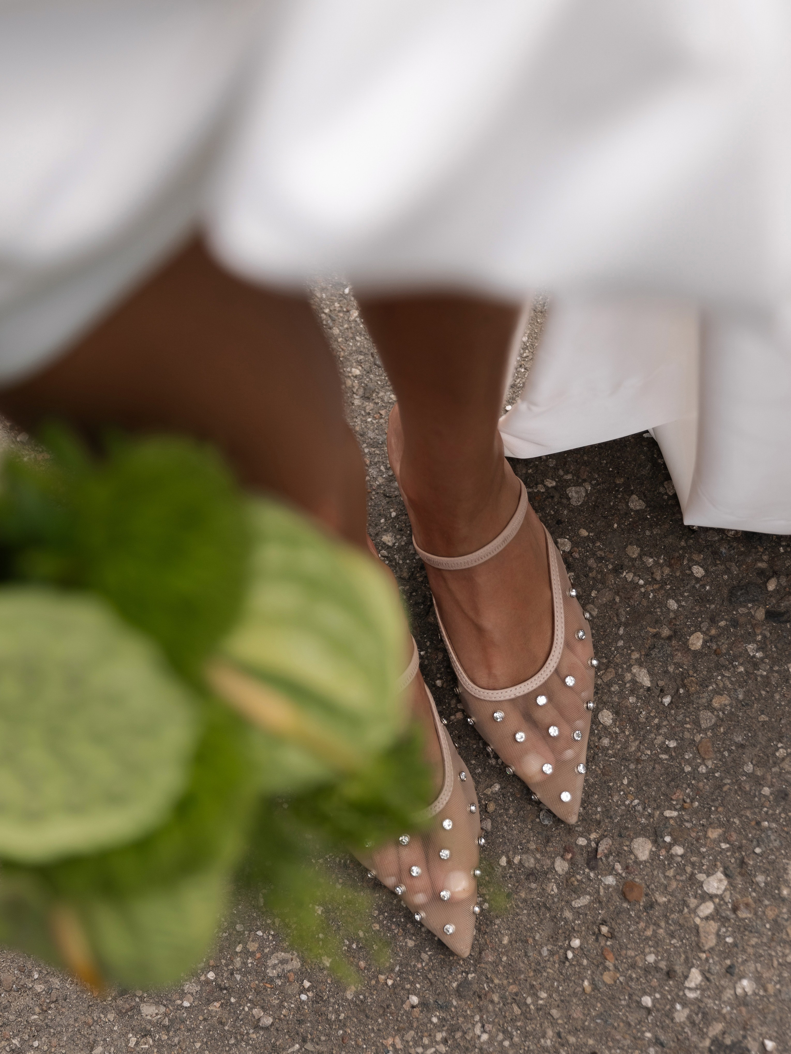 ЛИМОНЫ И ЛЮБОВЬ