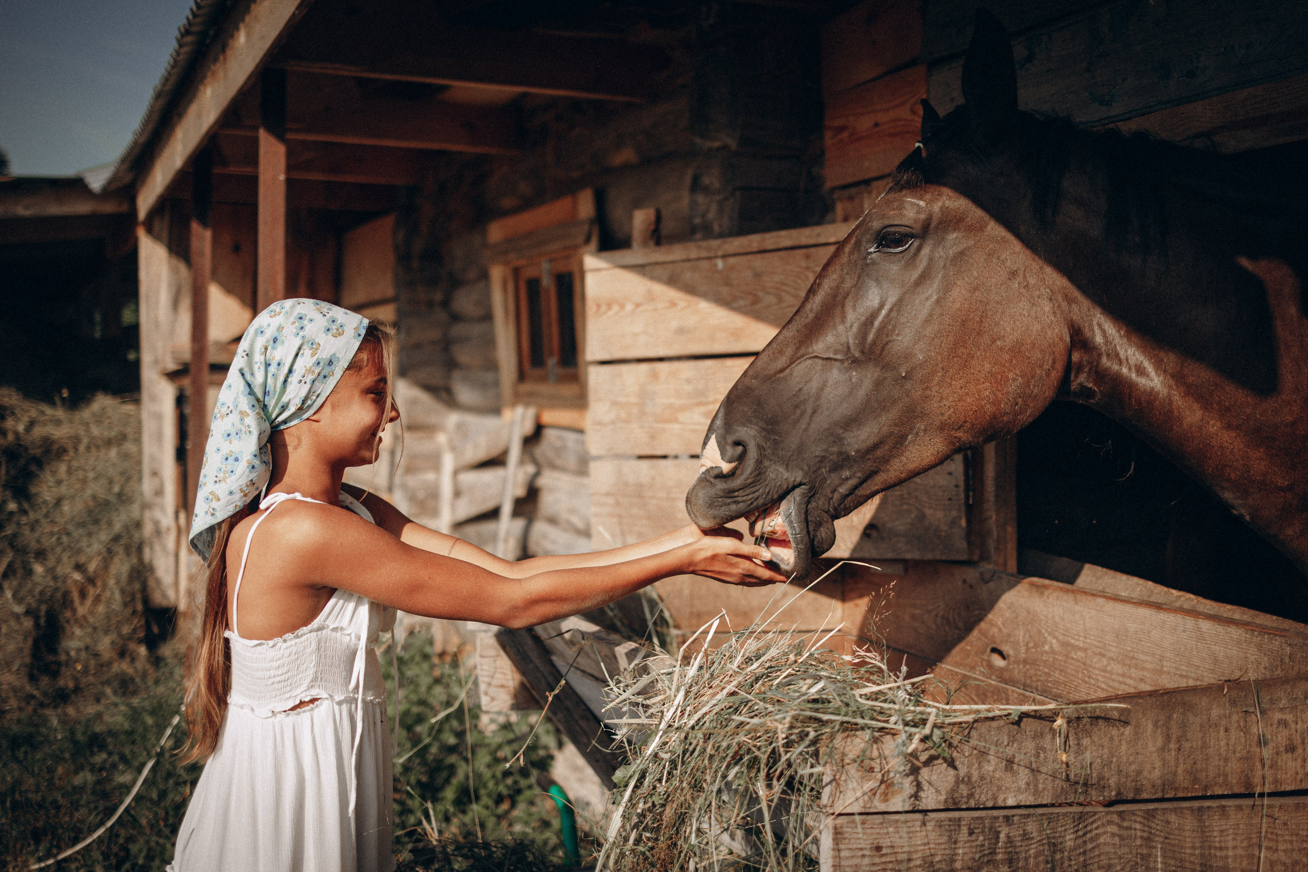 Природа/Улица. Ваш фотограф в Москве и области Юлия