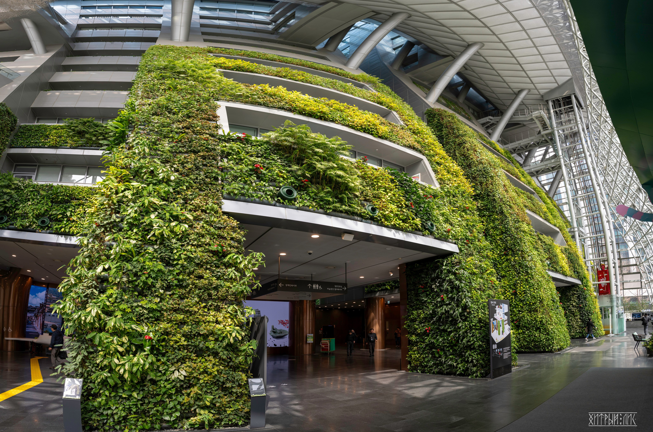 Южная Корея. Фотограф-путешественник Самойлов Максим «Sly Fox»