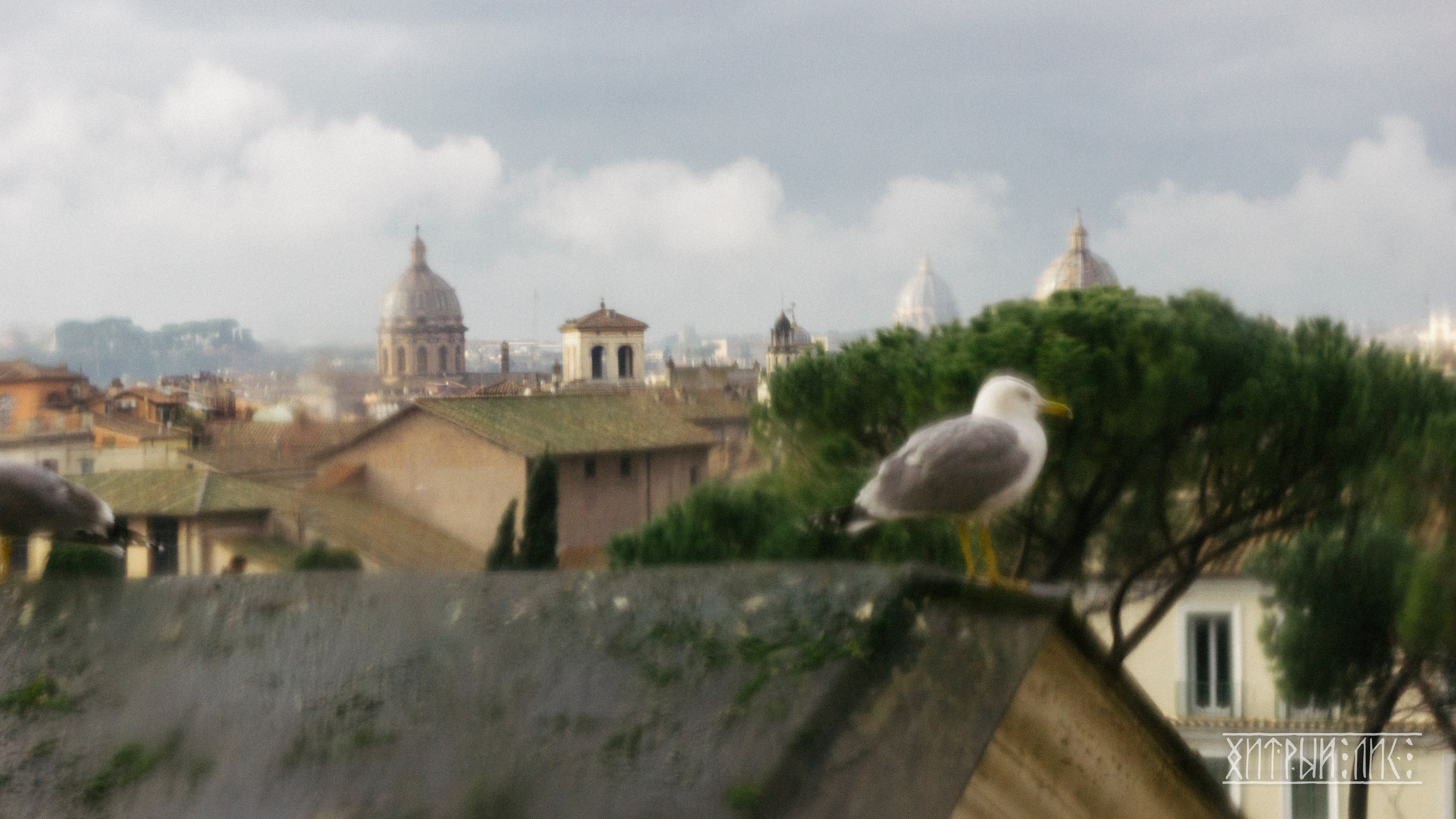 Рим. Фотограф-путешественник Самойлов Максим «Sly Fox»