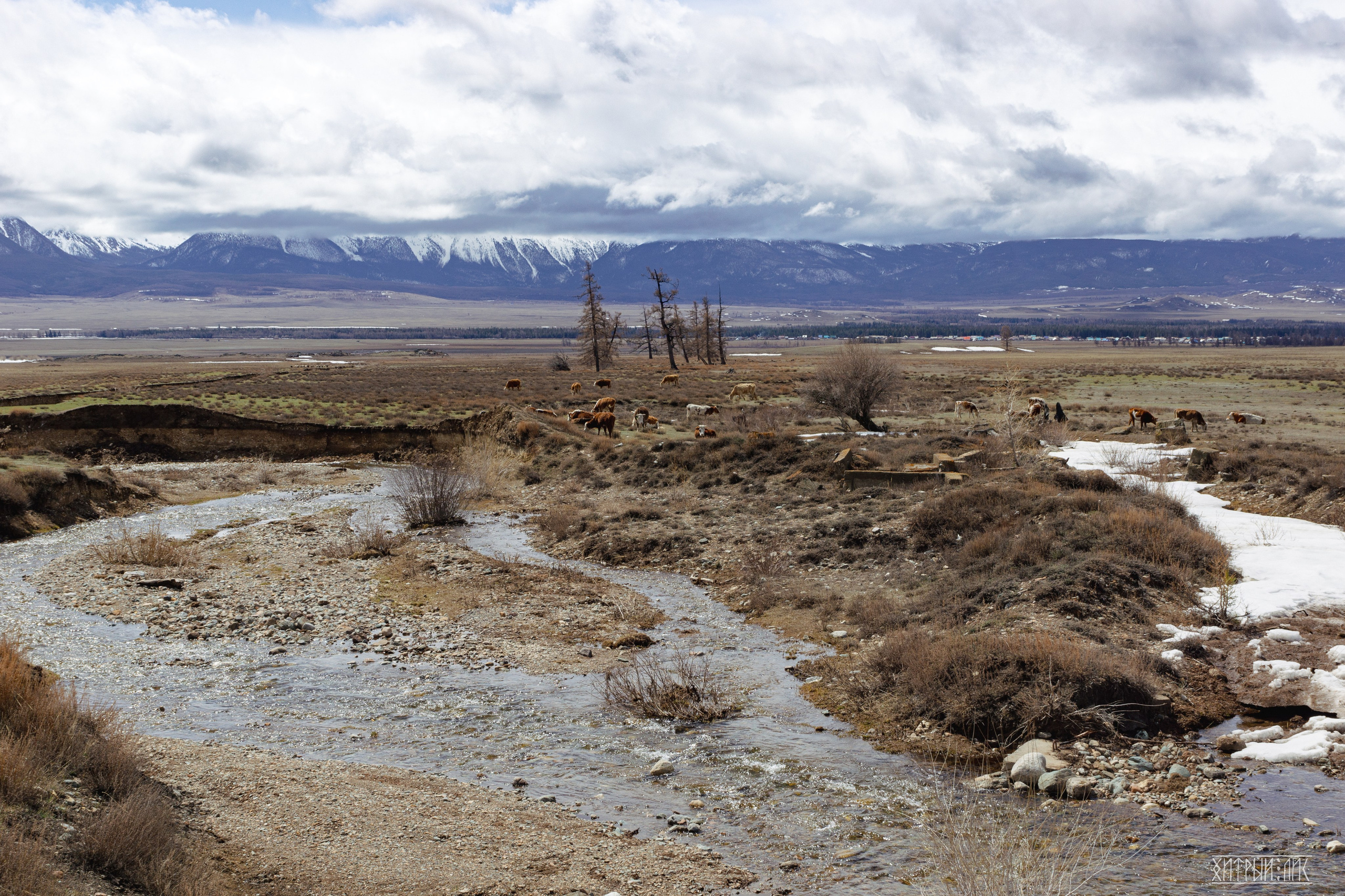 Алтай. Фотограф-путешественник Самойлов Максим «Sly Fox»