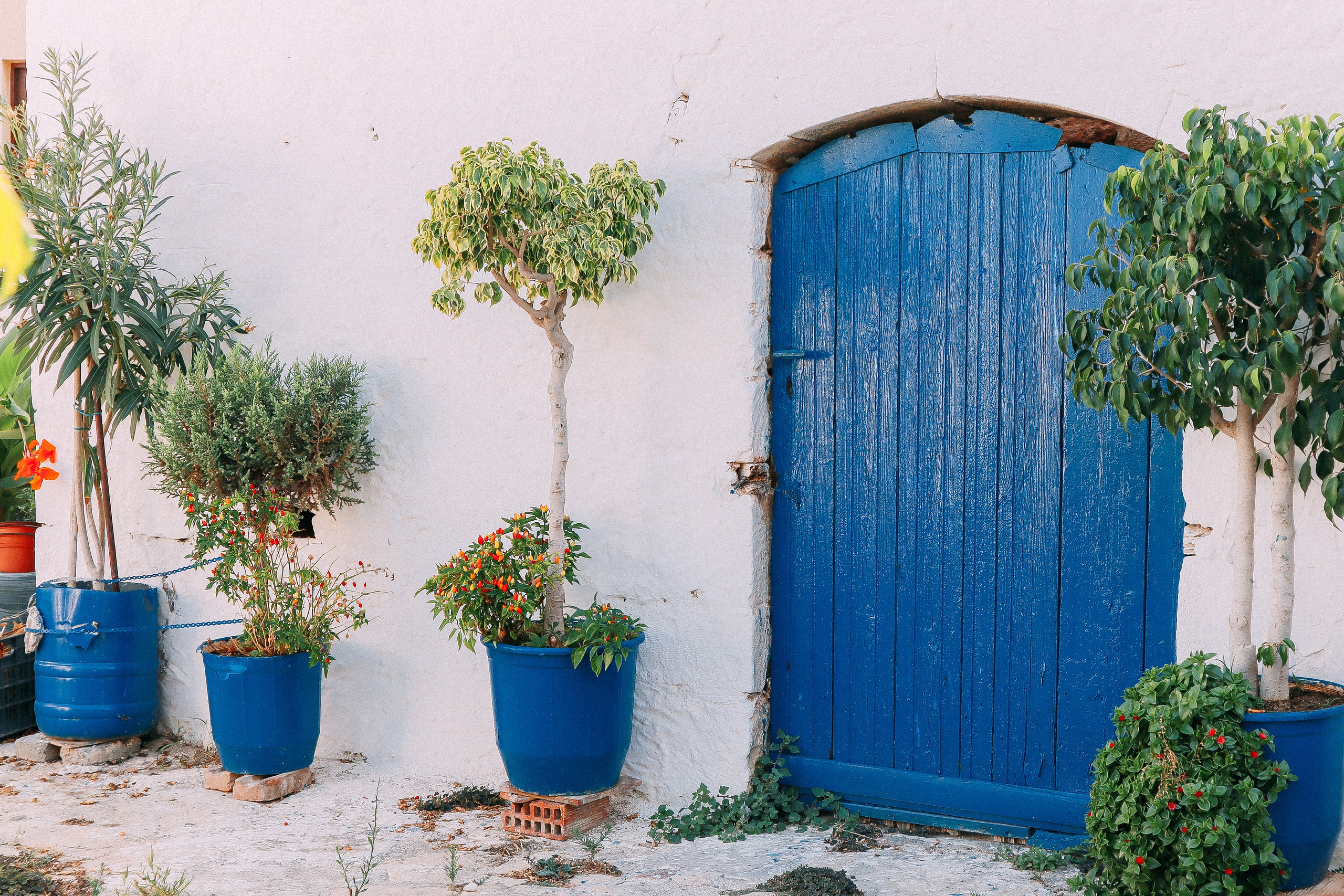 Крит. Аня Степанова