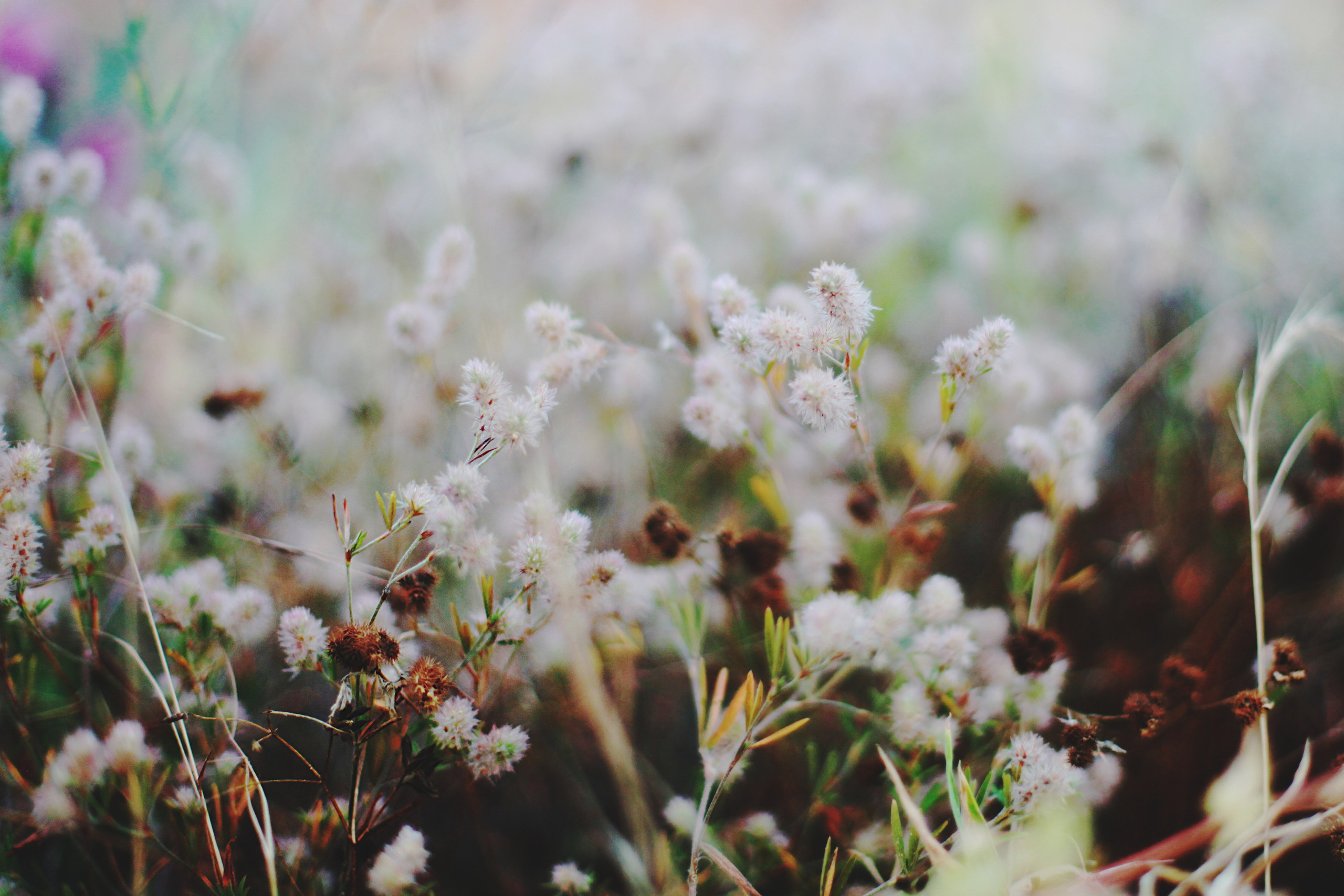 Болгария. Аня Степанова