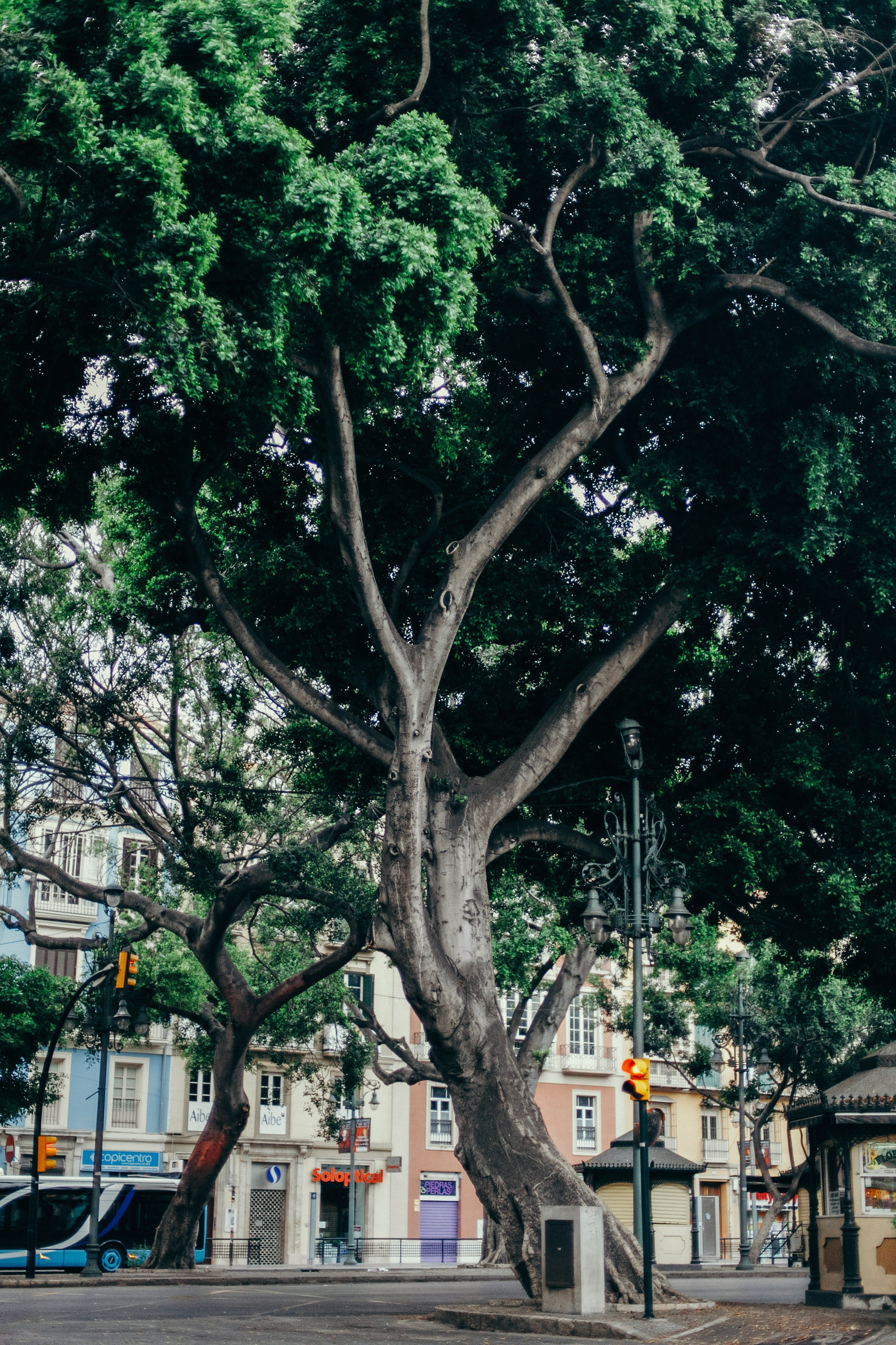 Малага. Аня Степанова