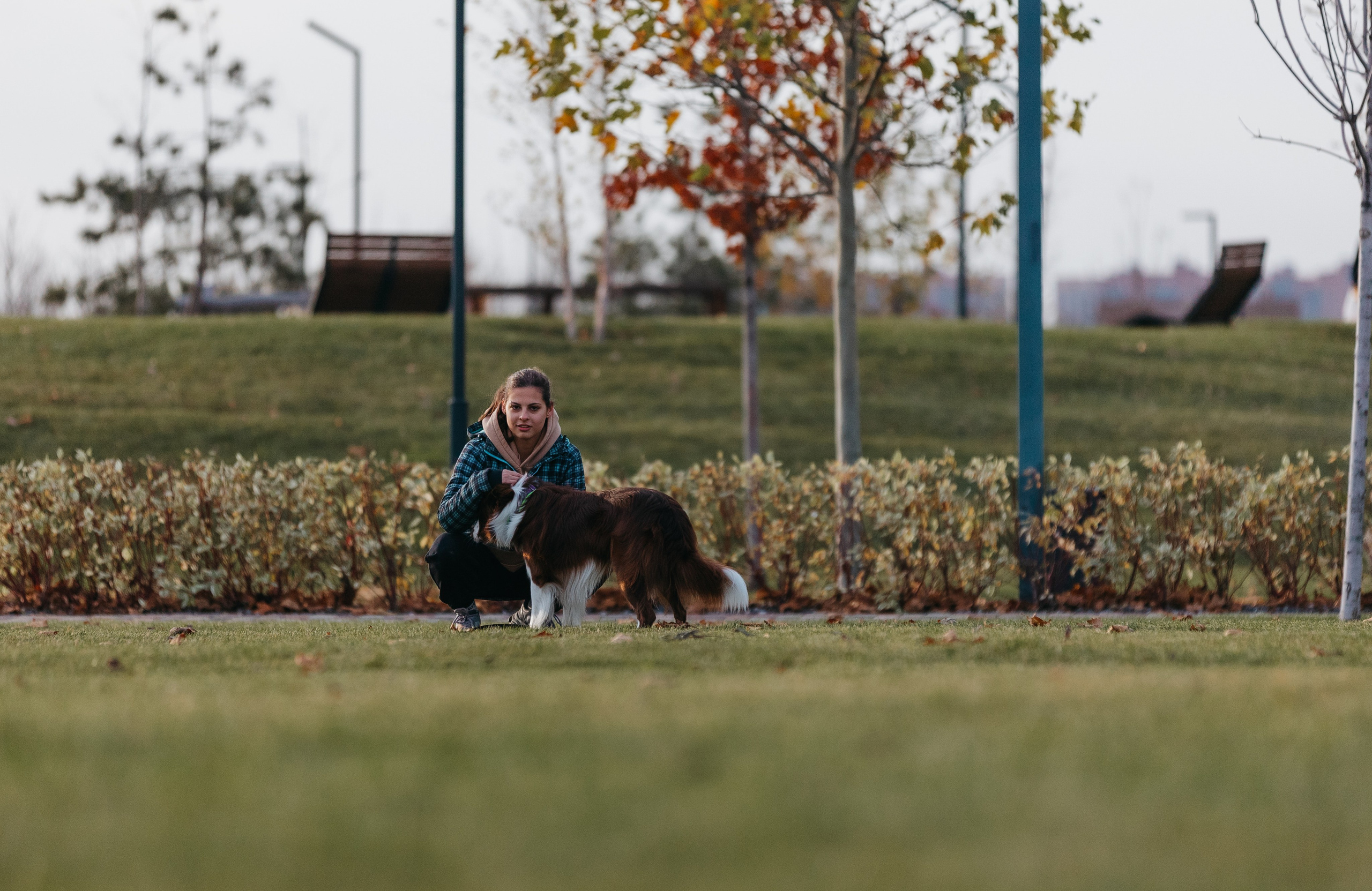 Маша и Тори. Фотограф — анималист Светлана Кысса|фотограф собак в Краснодаре и Нижнем Новгороде