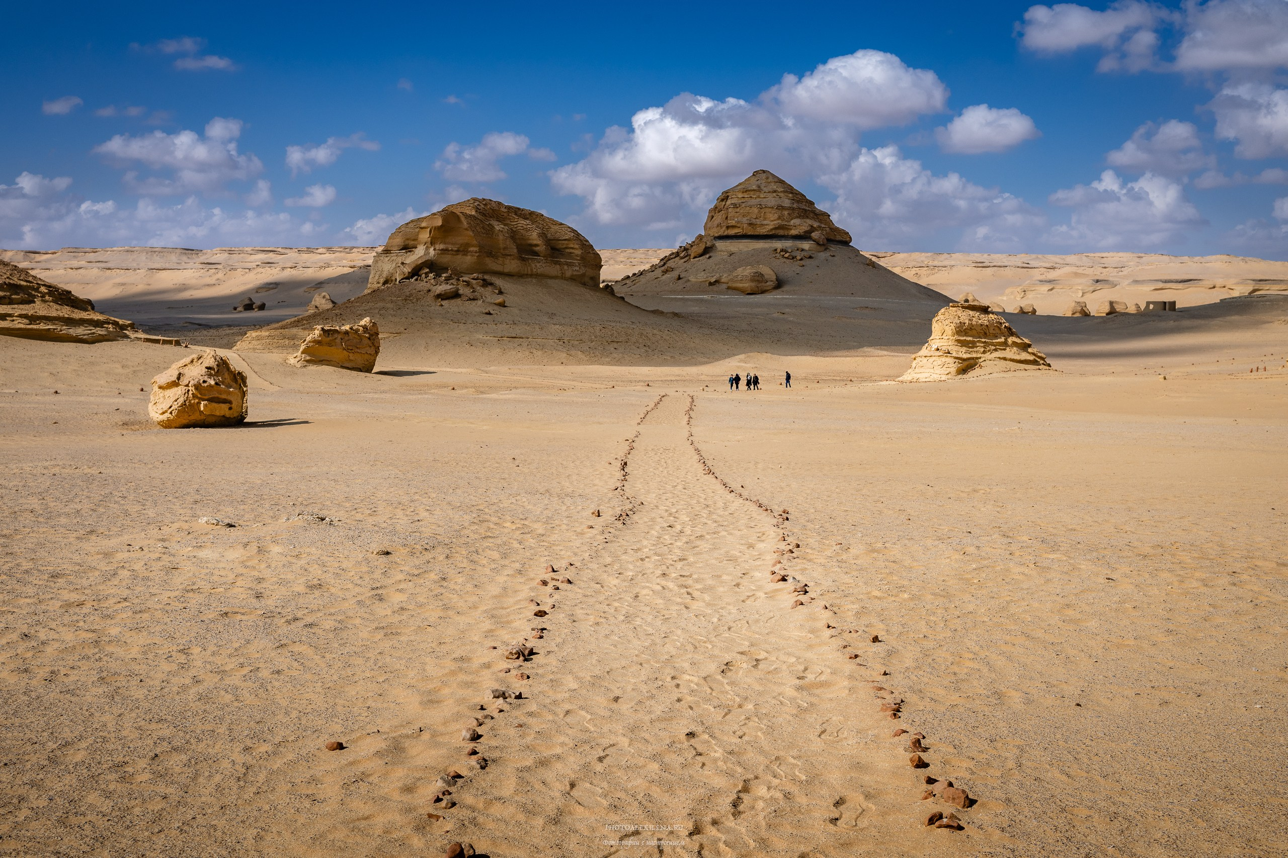 Снова в пустыню, за скелетами…. Авторские стильные фотокартины