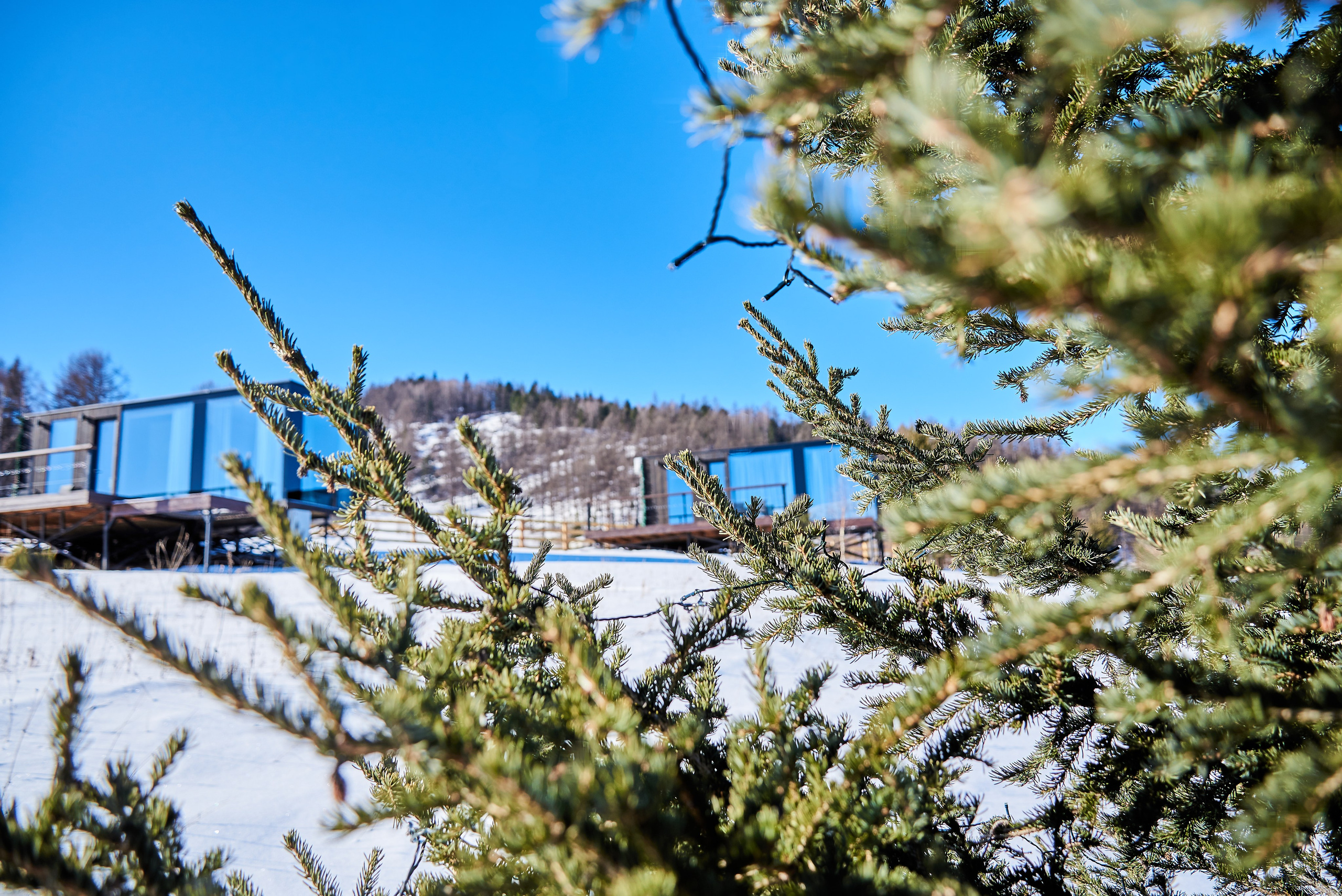 Сны Алтая. Семейный фотограф в Барнаул/Горный Алтай, Аренда дома в горах