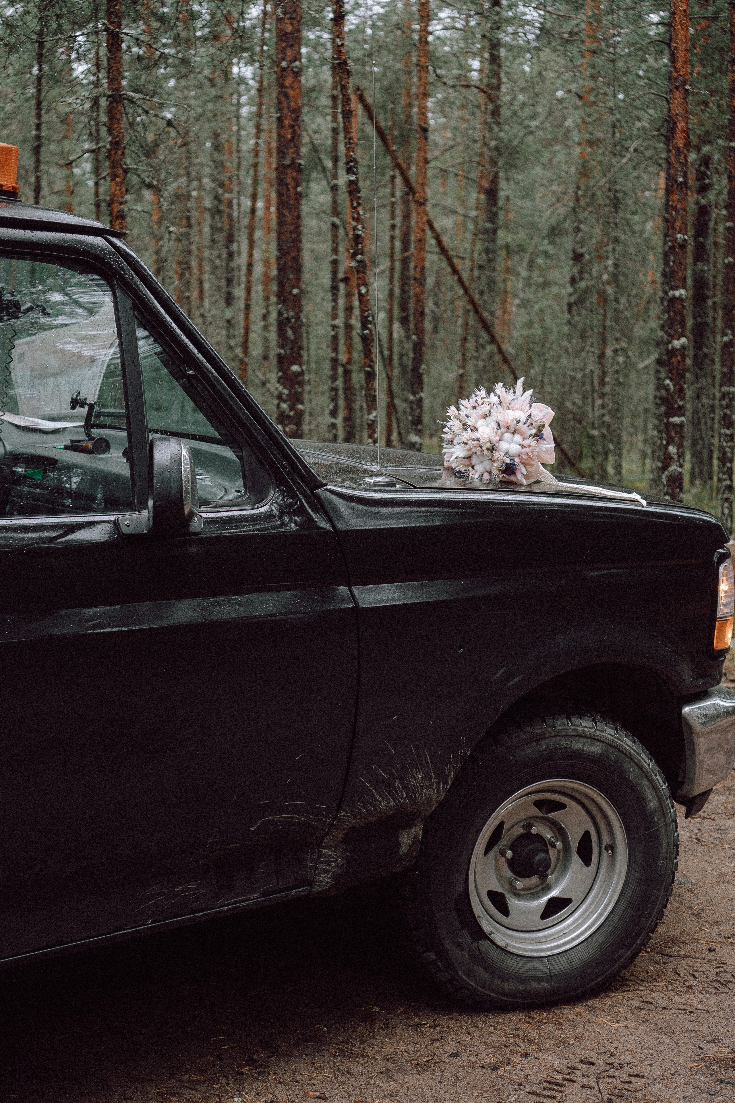 СВАДЕБНАЯ ФОТОСЕССИИЯ ПАРЫ В ГОРОДЕ ПРИОЗЕРСК В СОСНОВОМ ЛЕСУ И С ПИКАПОМ. Профессиональный фотограф, Санкт-Петербург — Виктория Богомолова