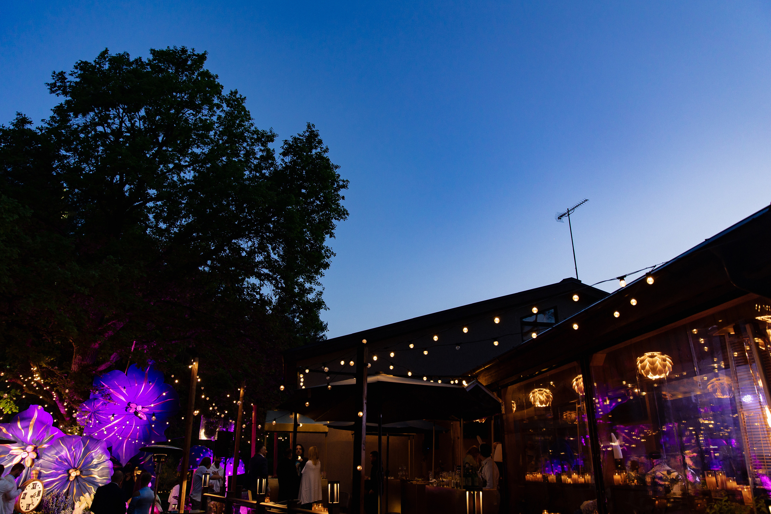 Наташа Королева. Свадебный фотограф Москва и Санкт-Петерург Артем Мамонов