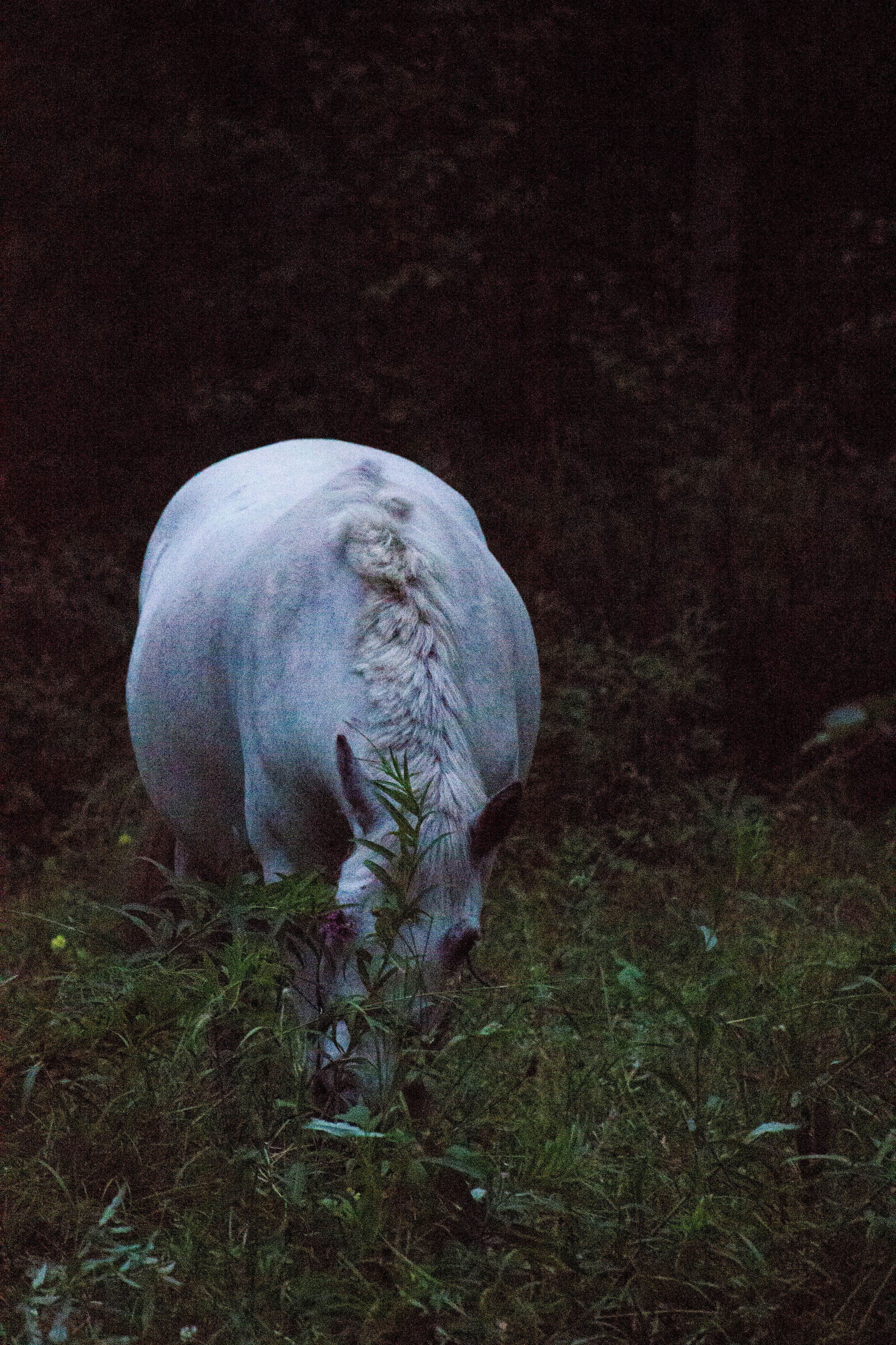 Камчатка, 2018. Портретный фотограф в Москве Евгения Яковенко