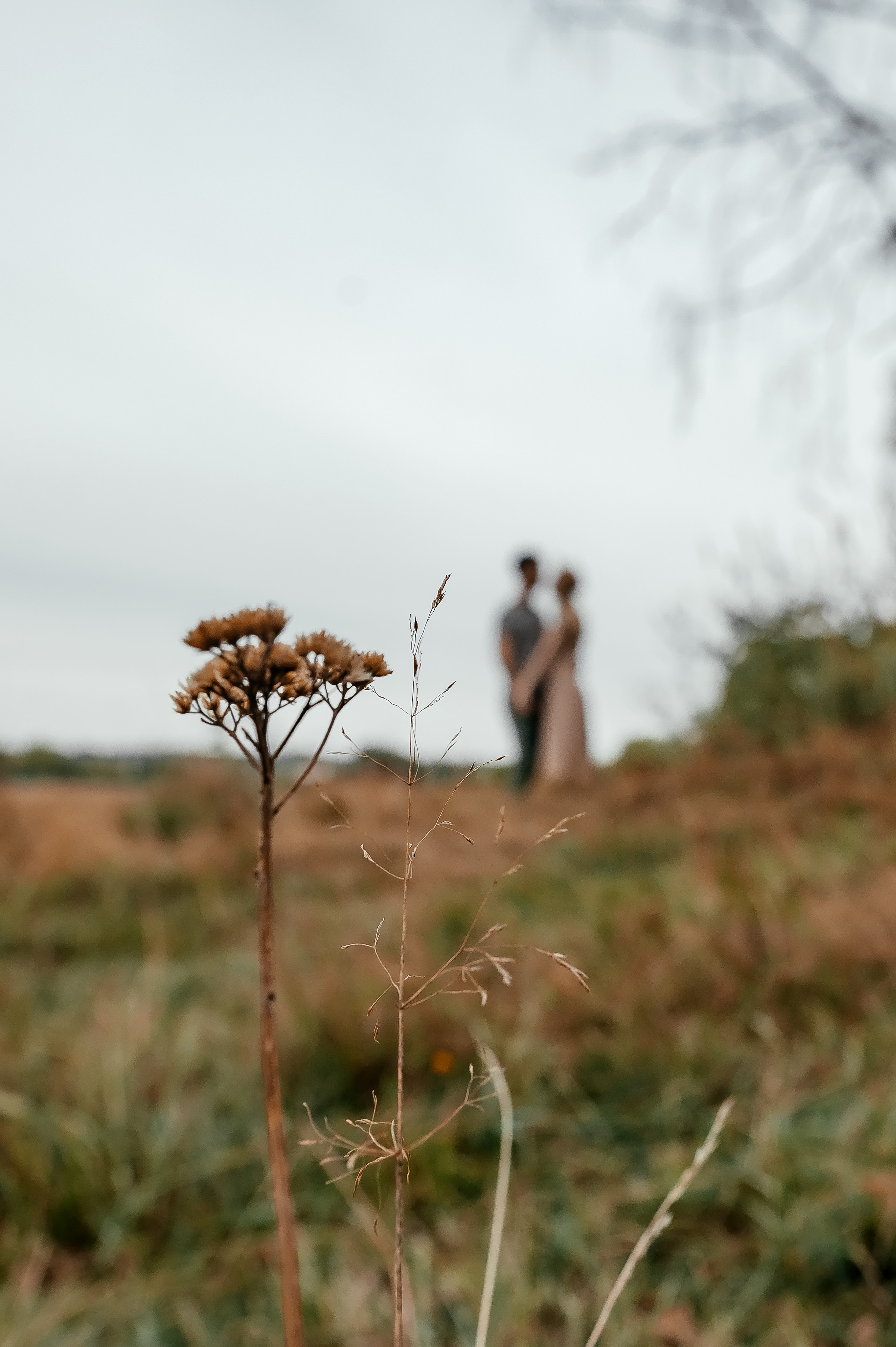 Мария и Сергей, Лосино-Петровский. Свадебный и семейный фотограф Виктория Носачёва. Щелково, Москва и МО