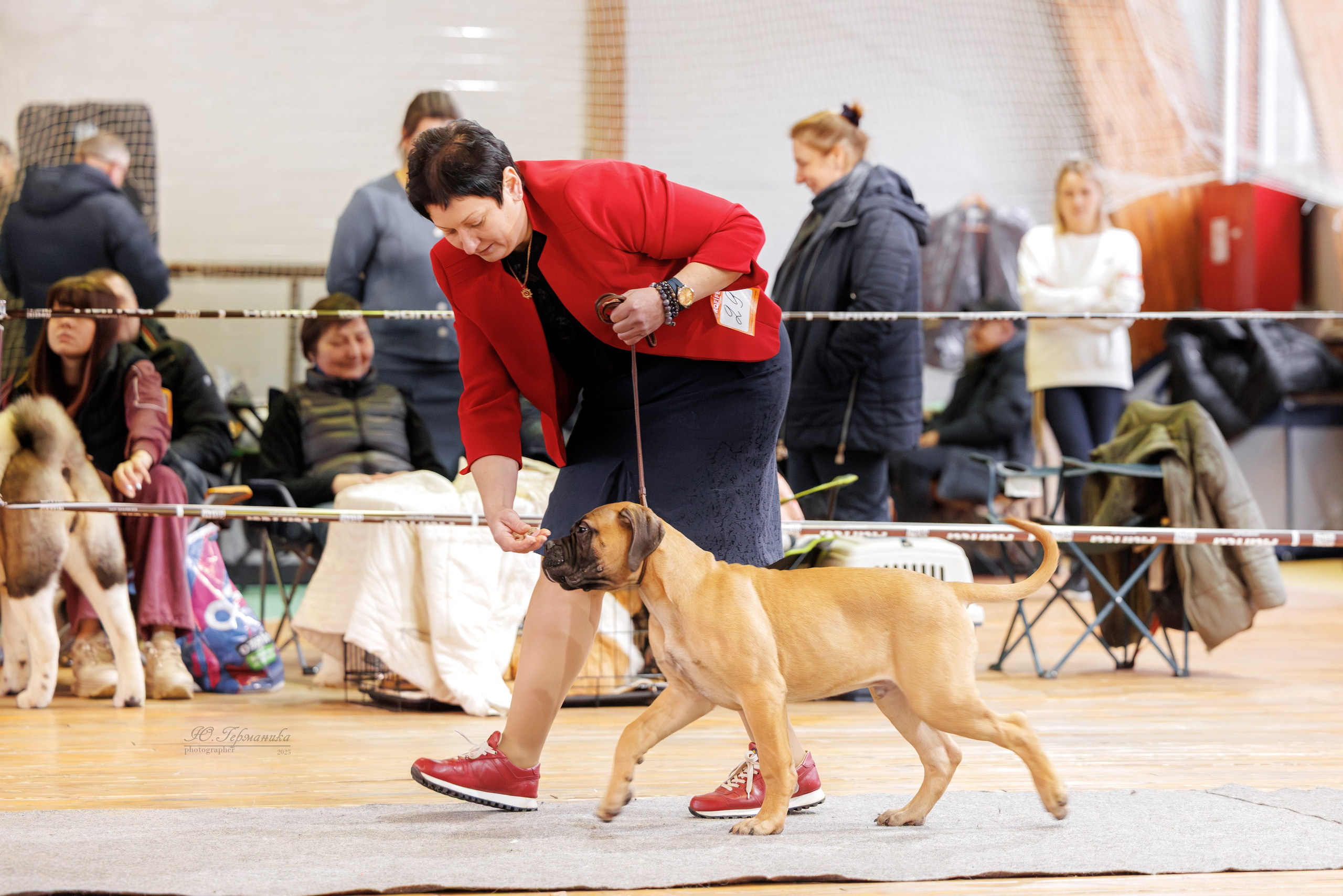 Тверь 21.12.2025. Фотограф-анималист Юлия Германика