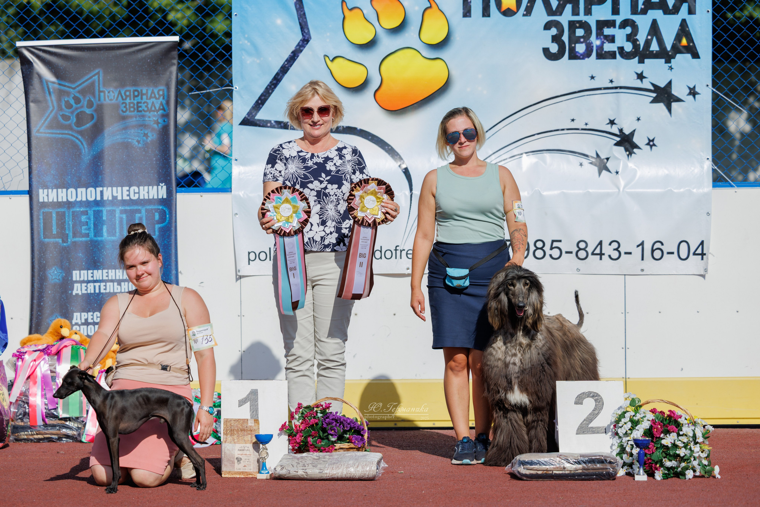 Коломна 30.08.2025. Фотограф-анималист Юлия Германика