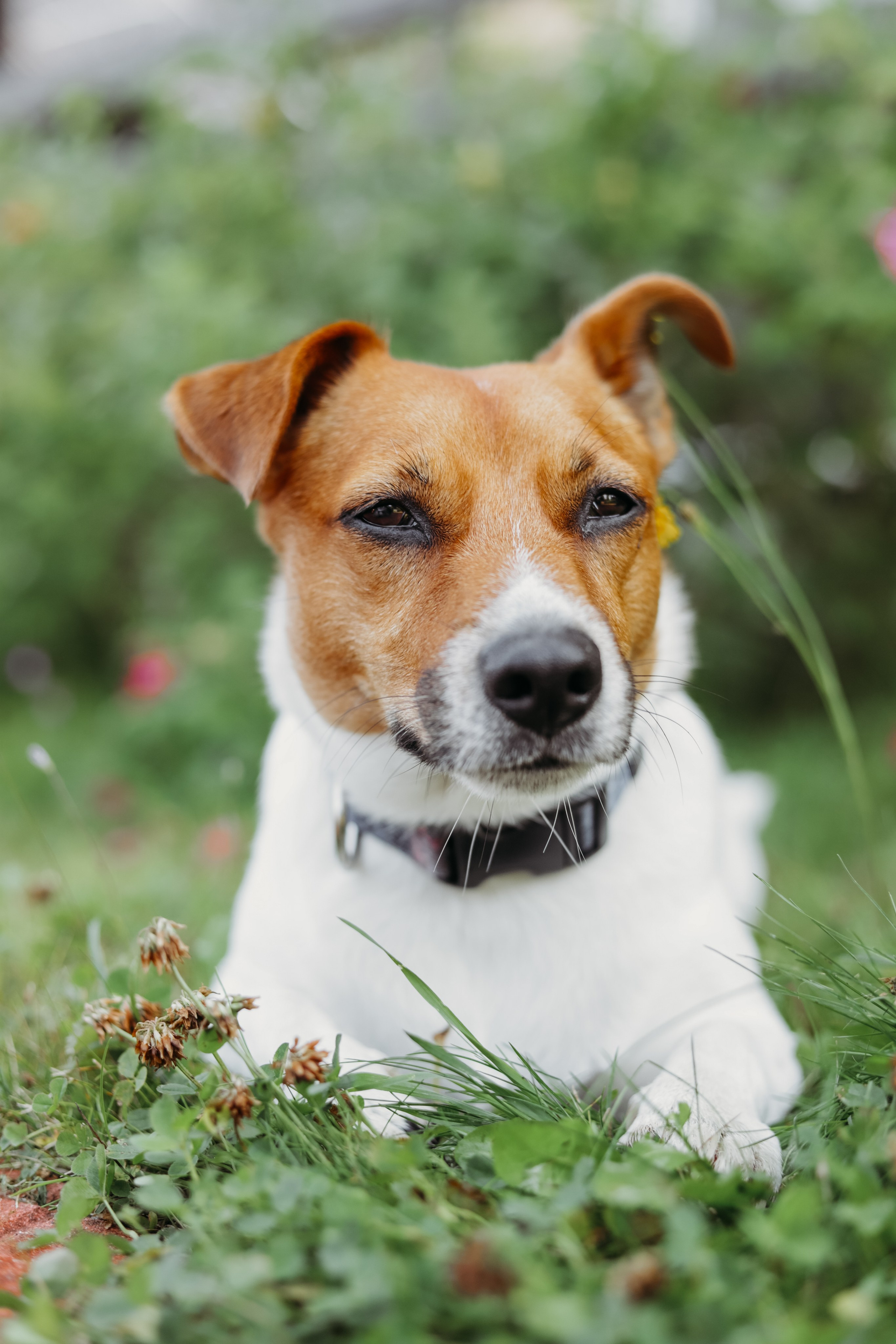 Мария, Максим и малышка. Фотограф Москва и Санкт-Петербург