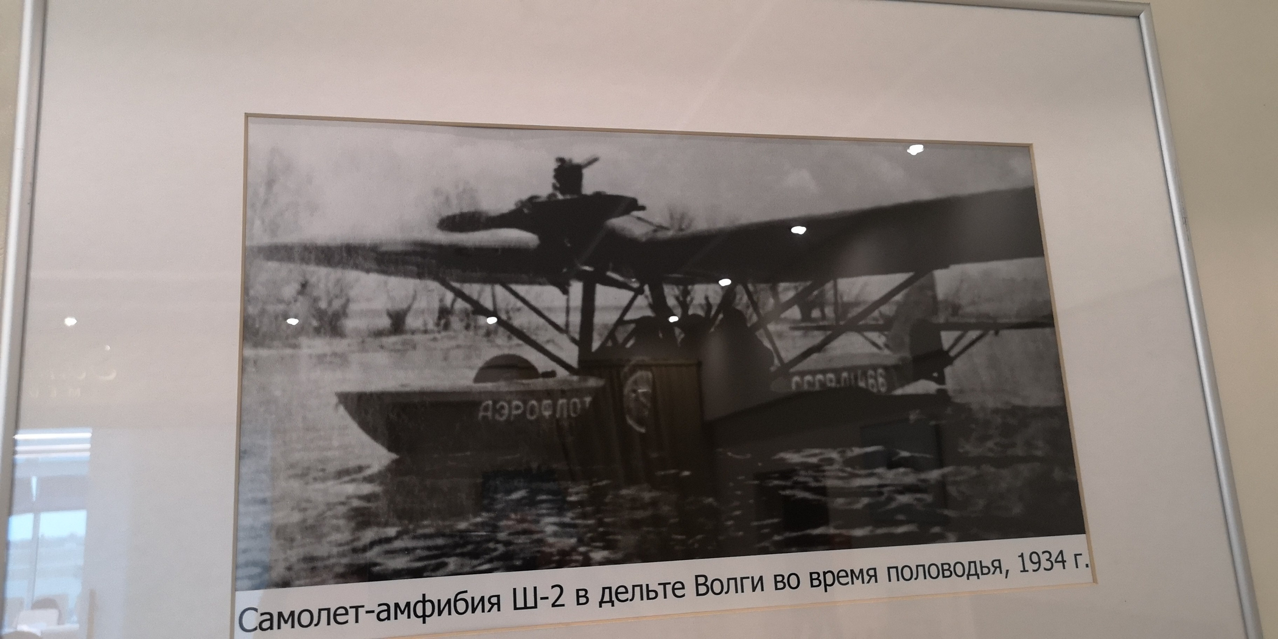 Каспийское море (наука на Ла-8) (2021 г.). Фотоальбом показывающий увлекательный мир авиации и мир медведей Андрея Иванова