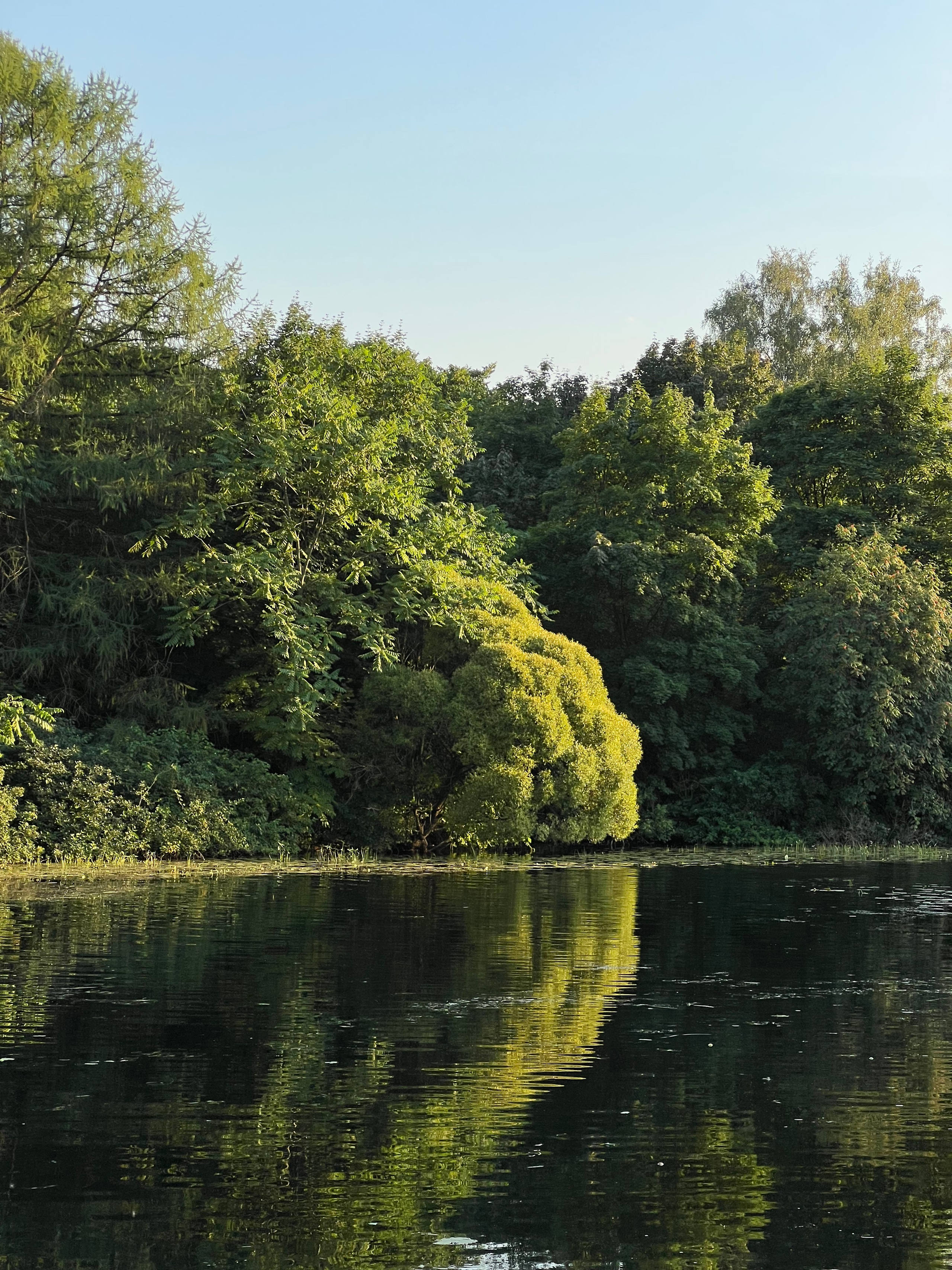 Fragments. Artem Khusainov