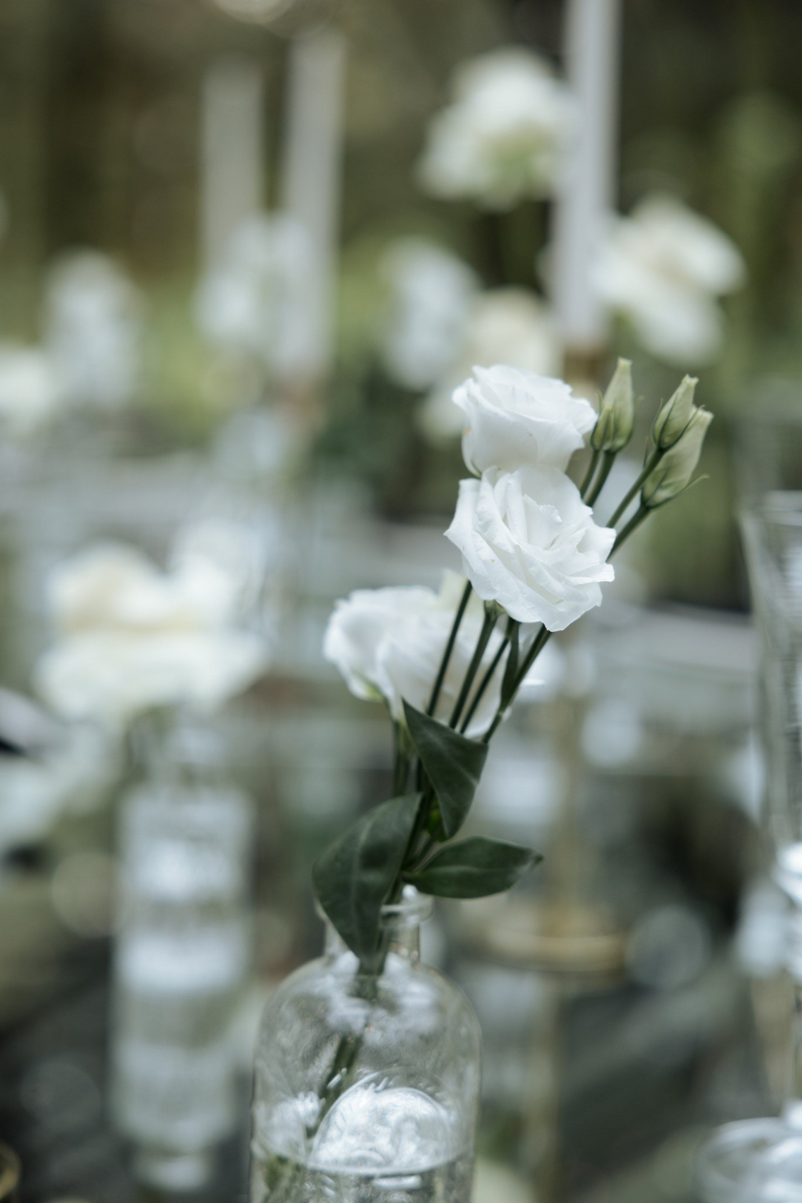 SAY SOMETHING LOVING. Фотограф Наталия Бирюкова