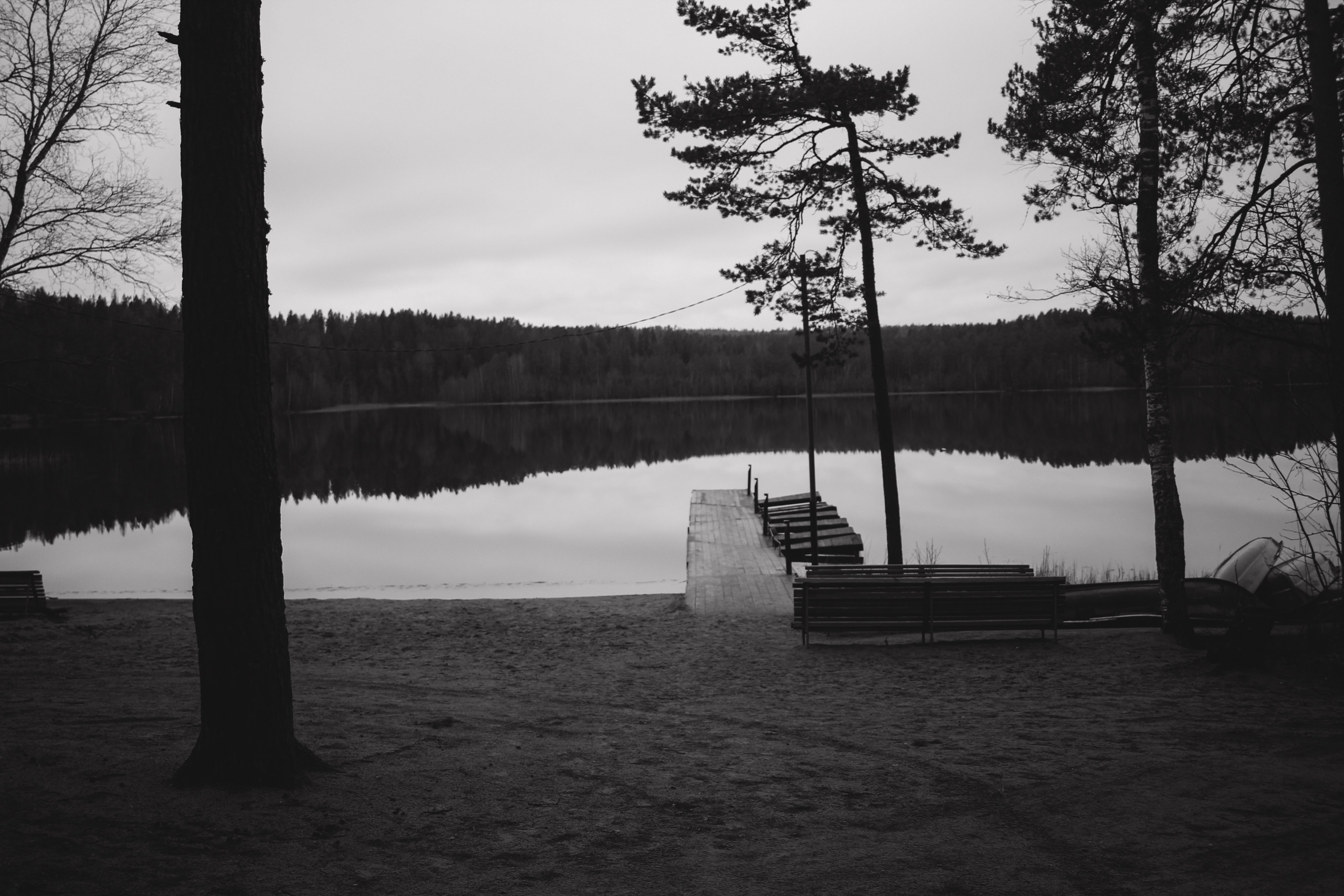 Лес и абстрактность. Портретный фотограф DanilNabody
