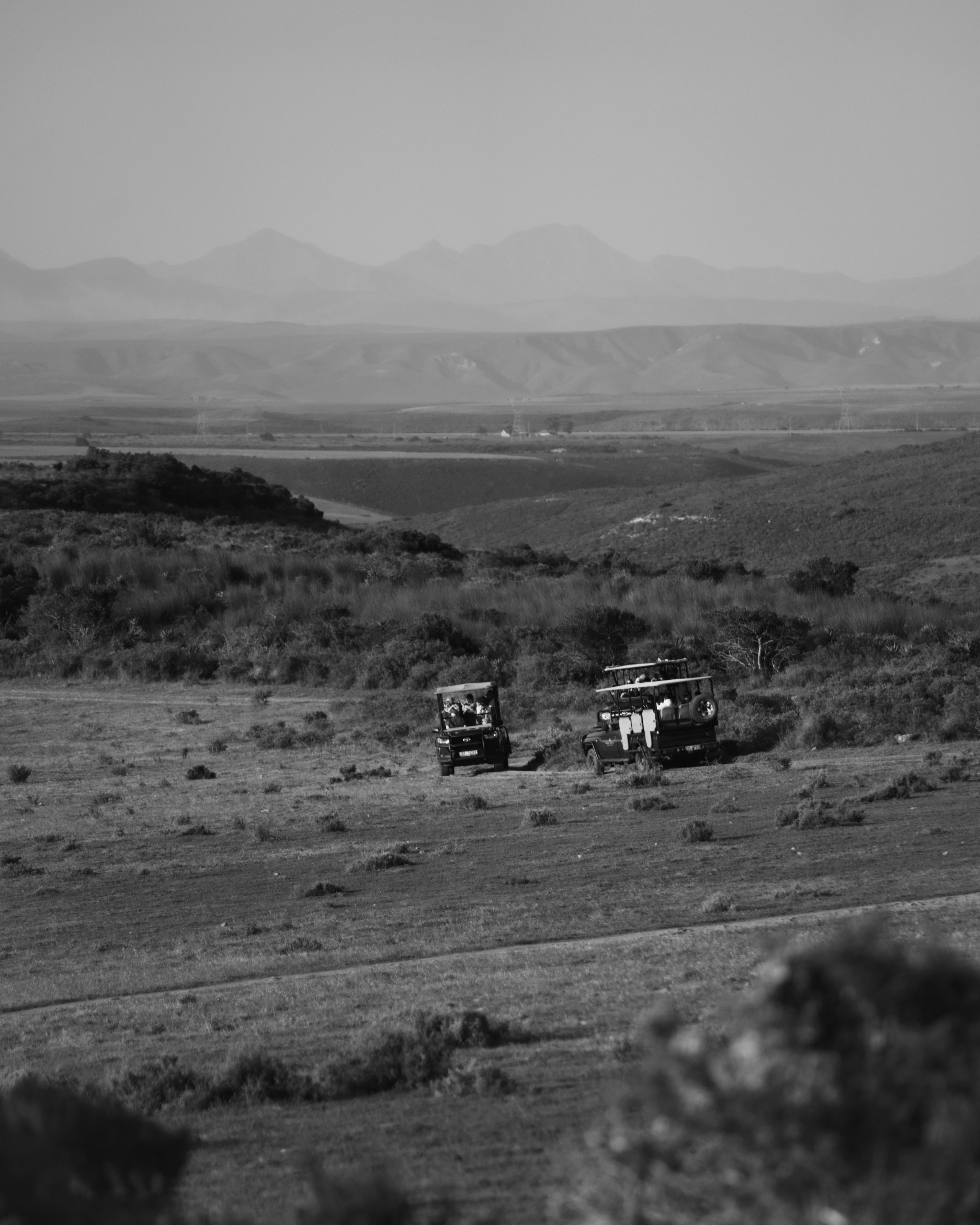 Africa/UAR. @oljiofilm: Олег Иванов — фотограф