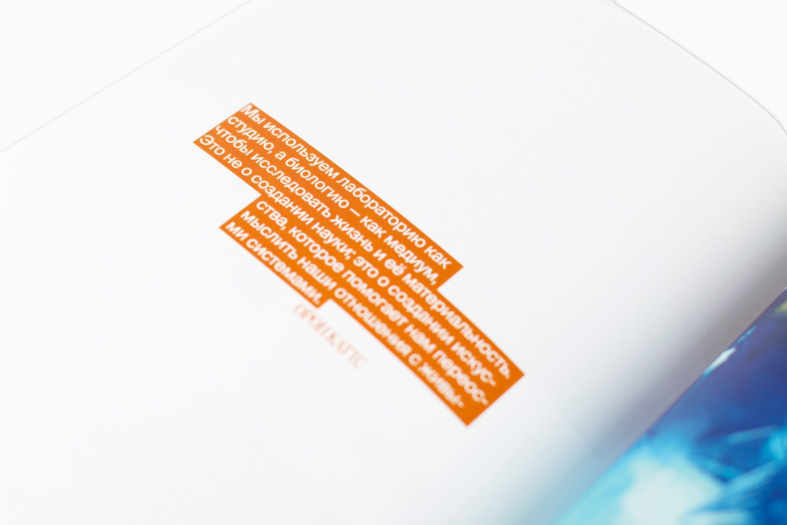 Книга. Фотограф Злата Спицына