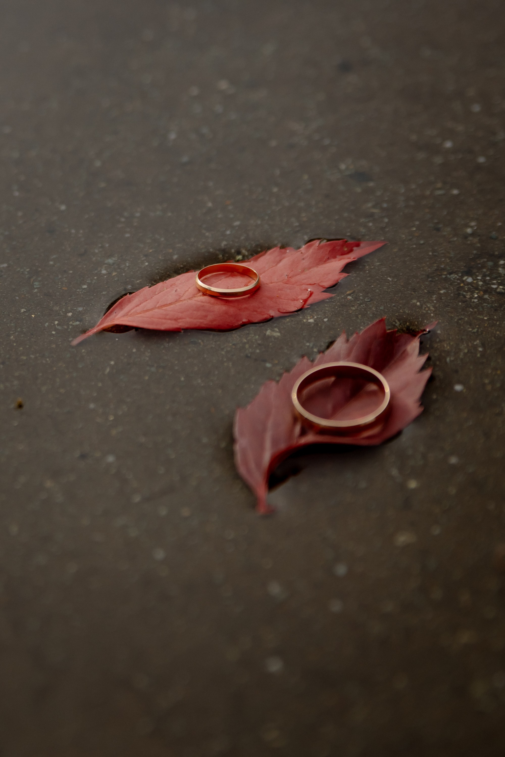 Алан & Екатерина. Свадебные и портретный фотограф — Кирилл Зорин