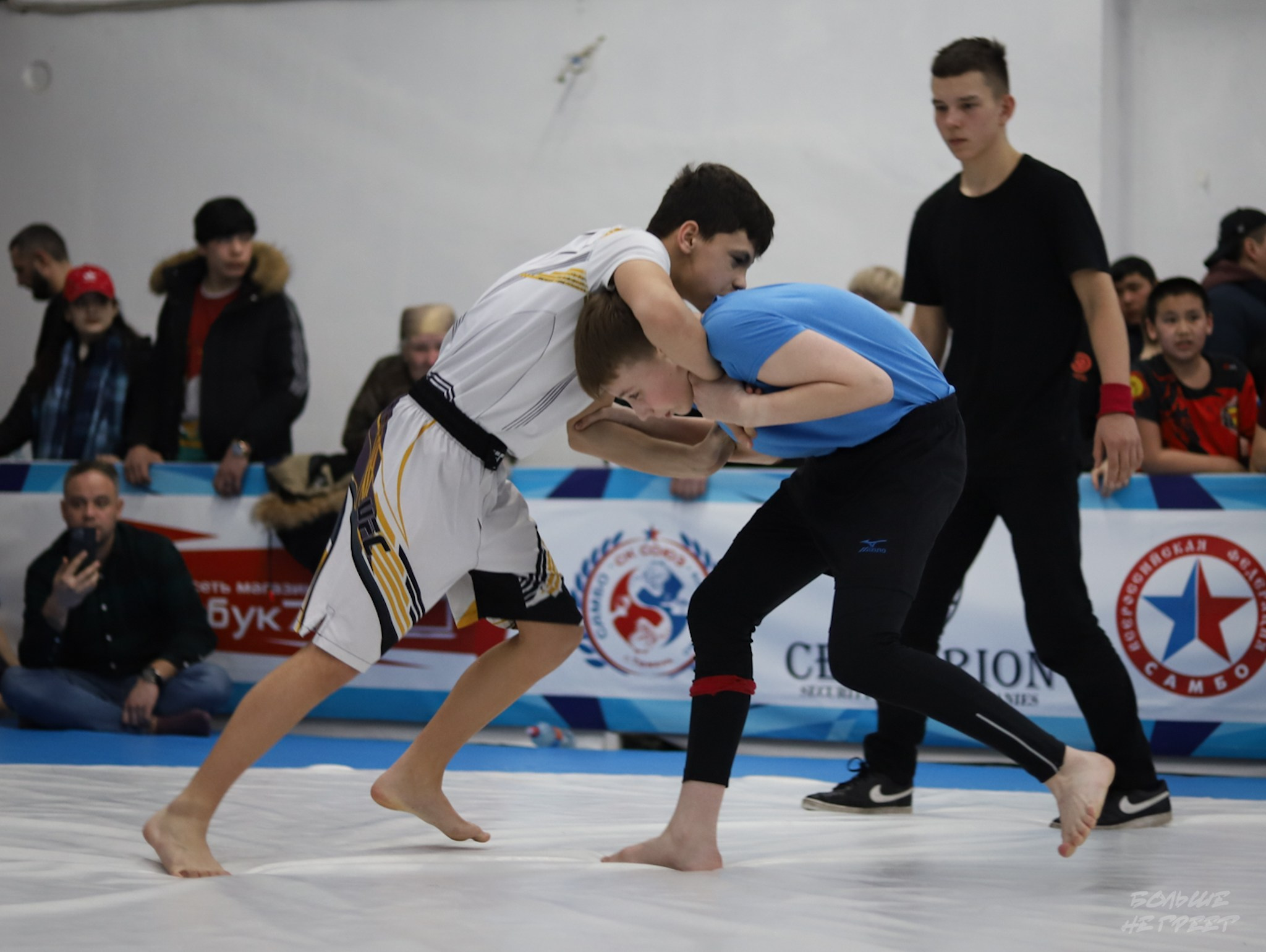 GORILLA PRIDE CUP. Больше не греет