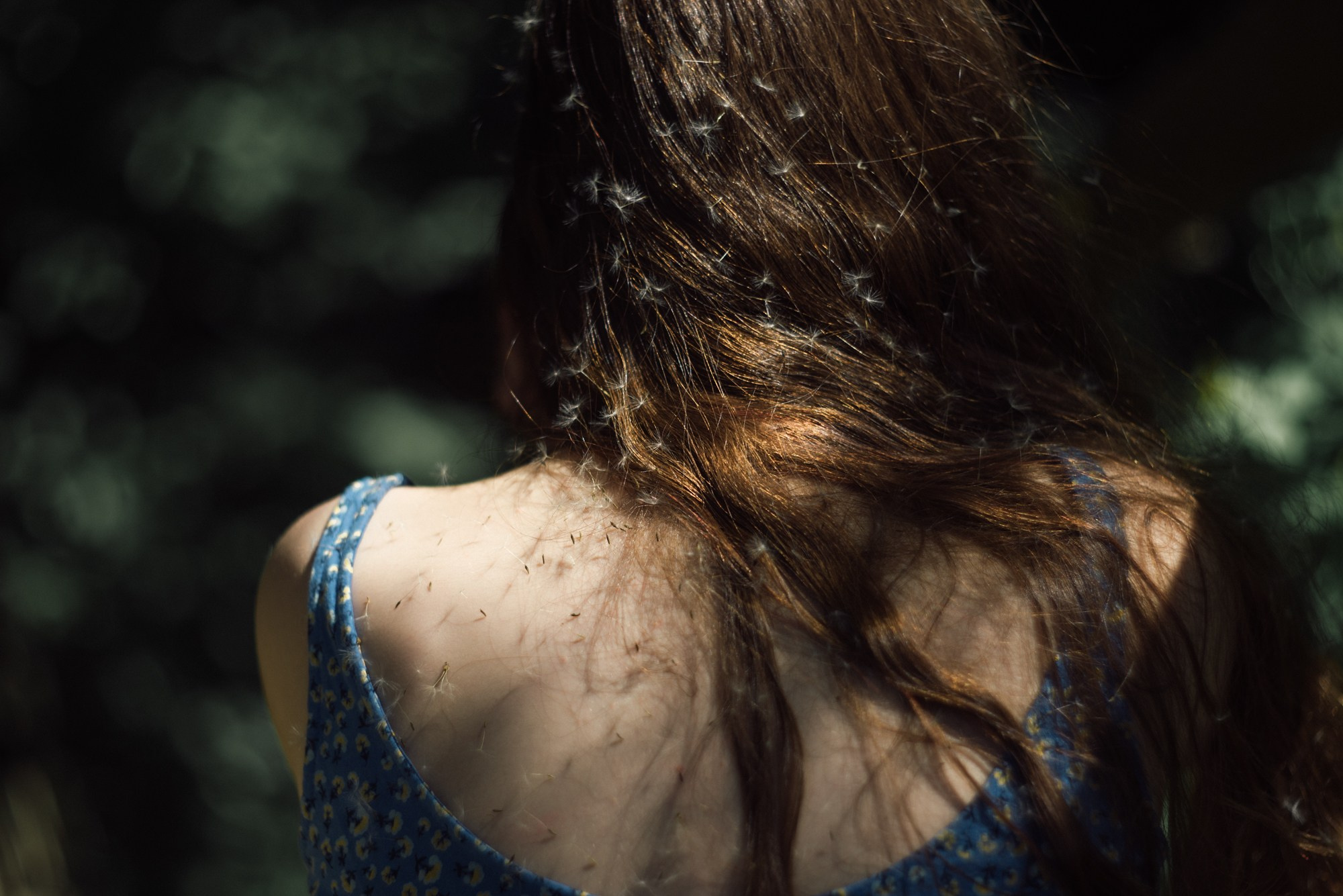 Understory. Tatiana Sikorskaya