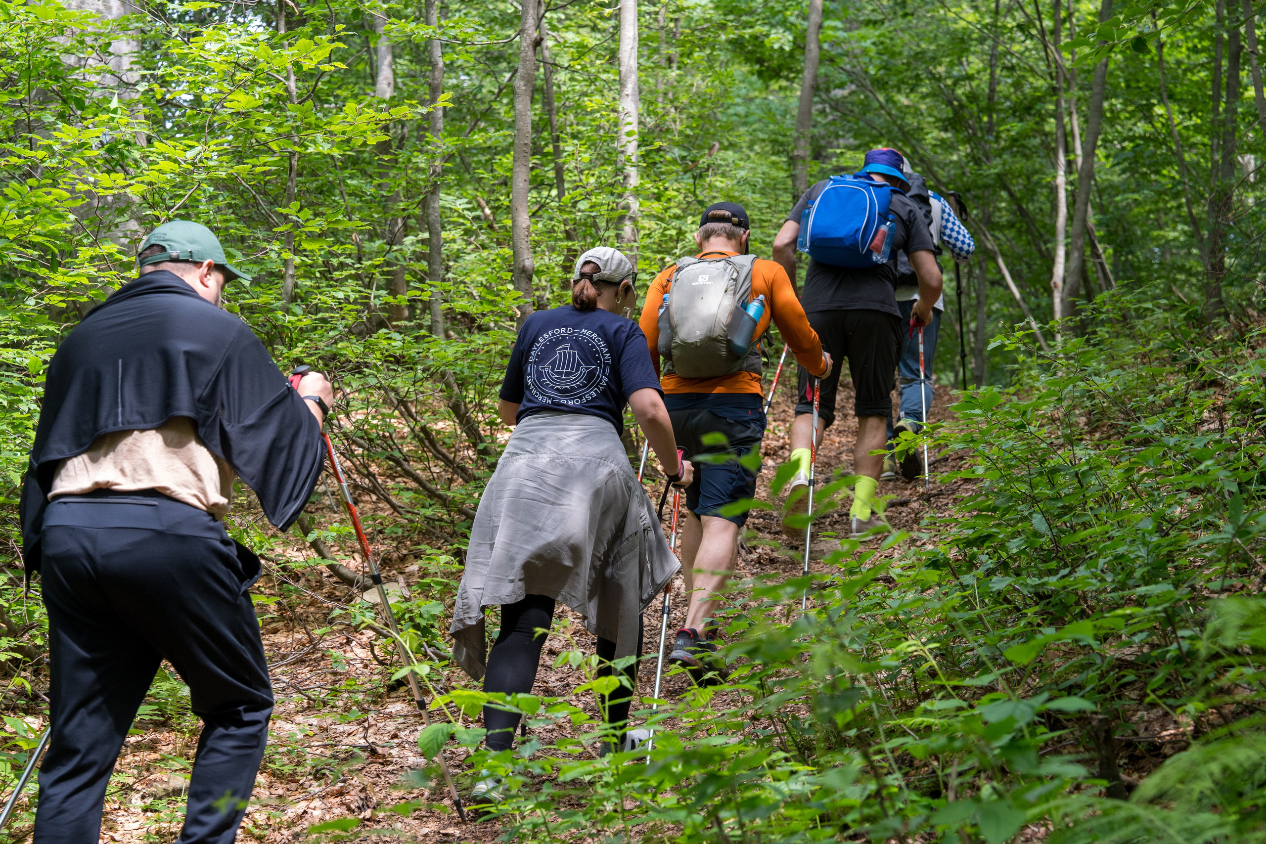 MICE мероприятие для компании «Доставка морем»: хайкинг к Ачипсинским водопадам. Репортажный фотограф в Красной Поляне и Сочи Павлюченко Екатерина