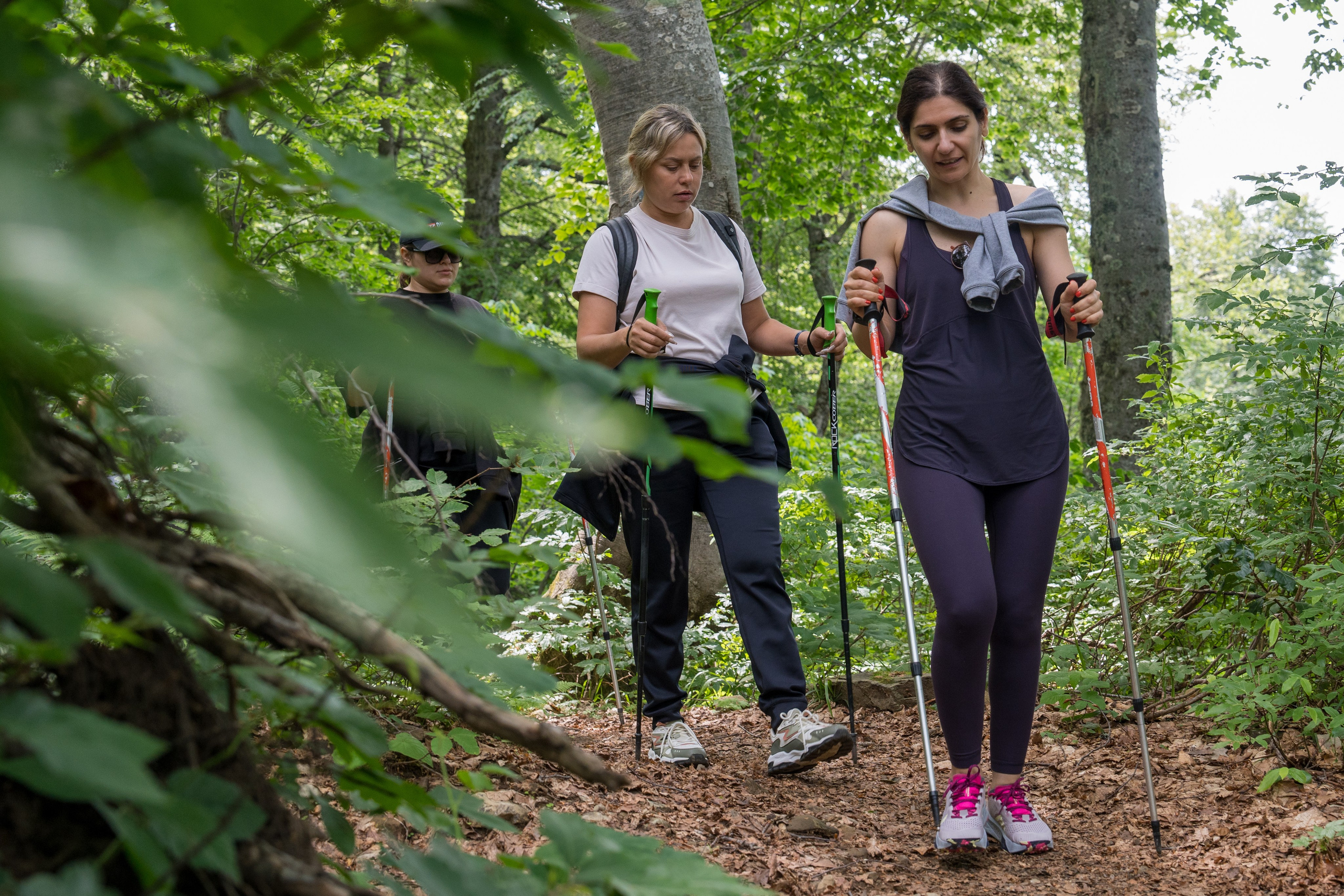MICE мероприятие для компании «Доставка морем»: хайкинг к Ачипсинским водопадам. Репортажный фотограф в Красной Поляне и Сочи Павлюченко Екатерина