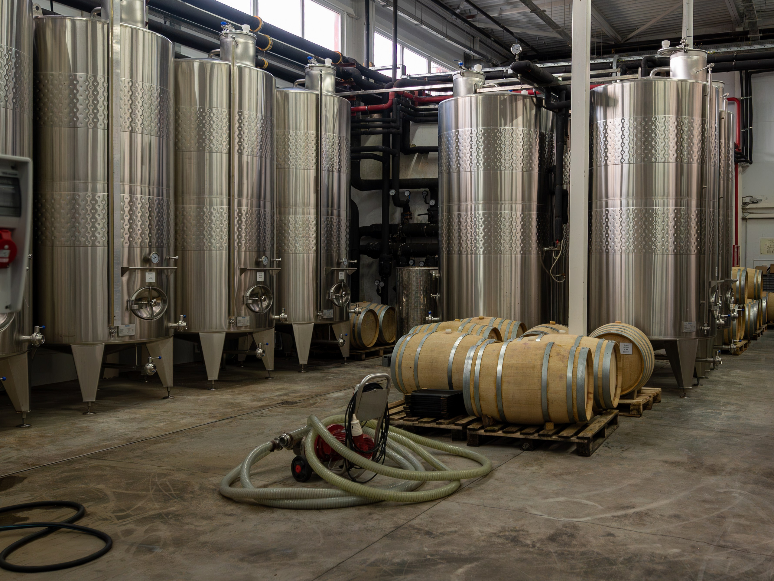 Литературная мастерская с Ольгой Шутовой в «Винотеррии». Репортажный фотограф в Красной Поляне и Сочи Павлюченко Екатерина