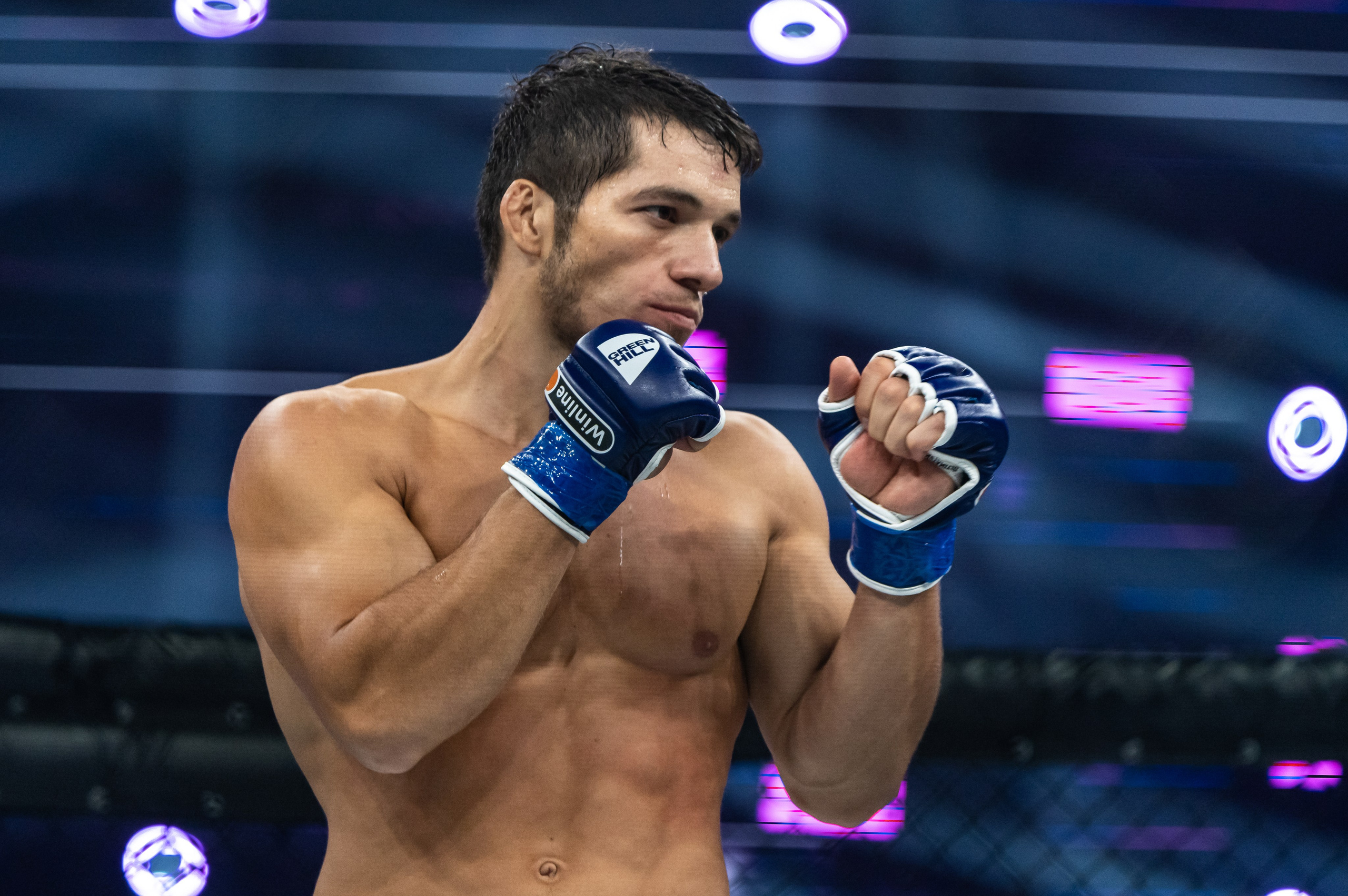 Бои. Репортажный фотограф в Красной Поляне и Сочи Павлюченко Екатерина