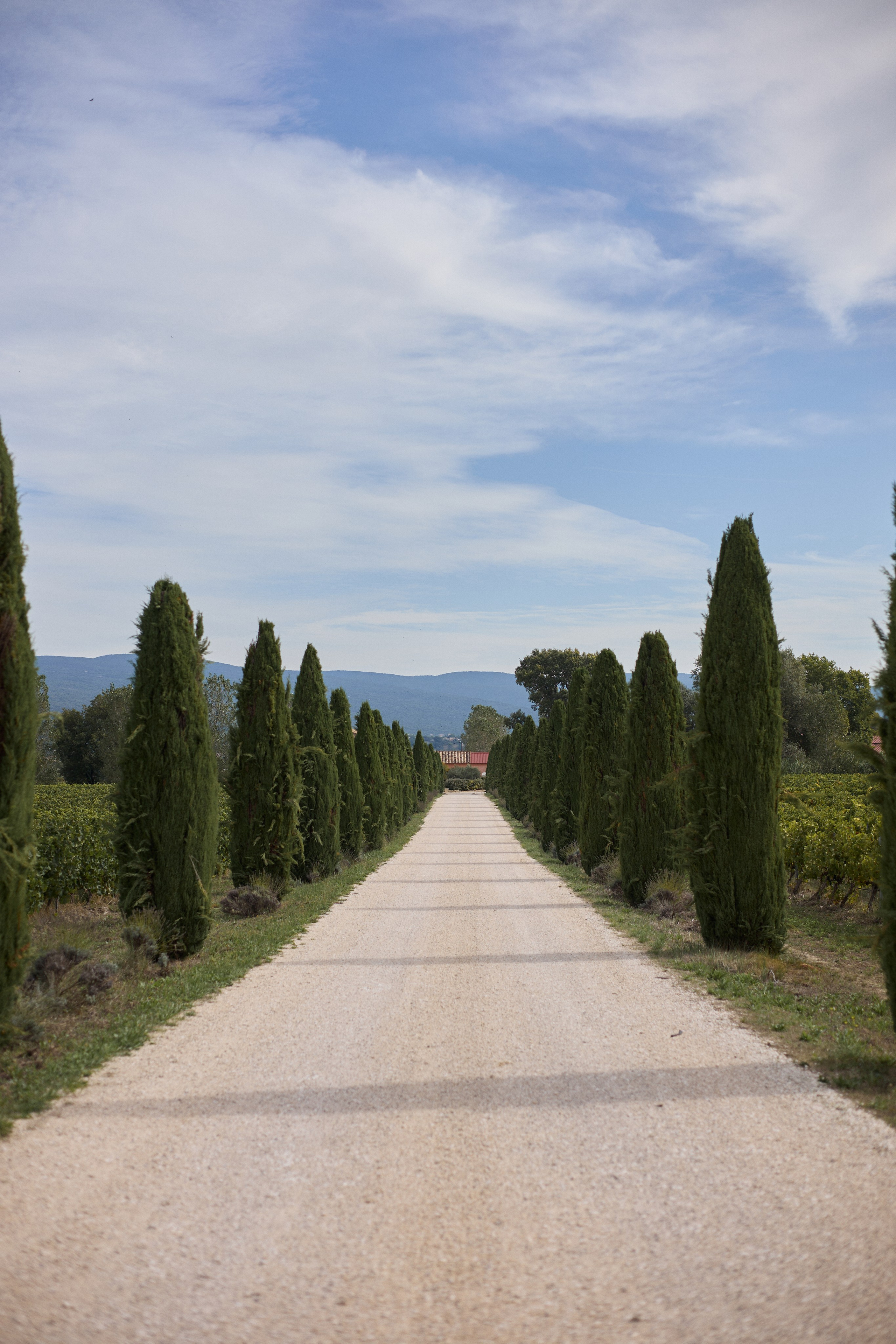 France (Provence & Paris) Sep'25. Анастасия Зобнинá — фотограф в Санкт-Петербурге/СПб