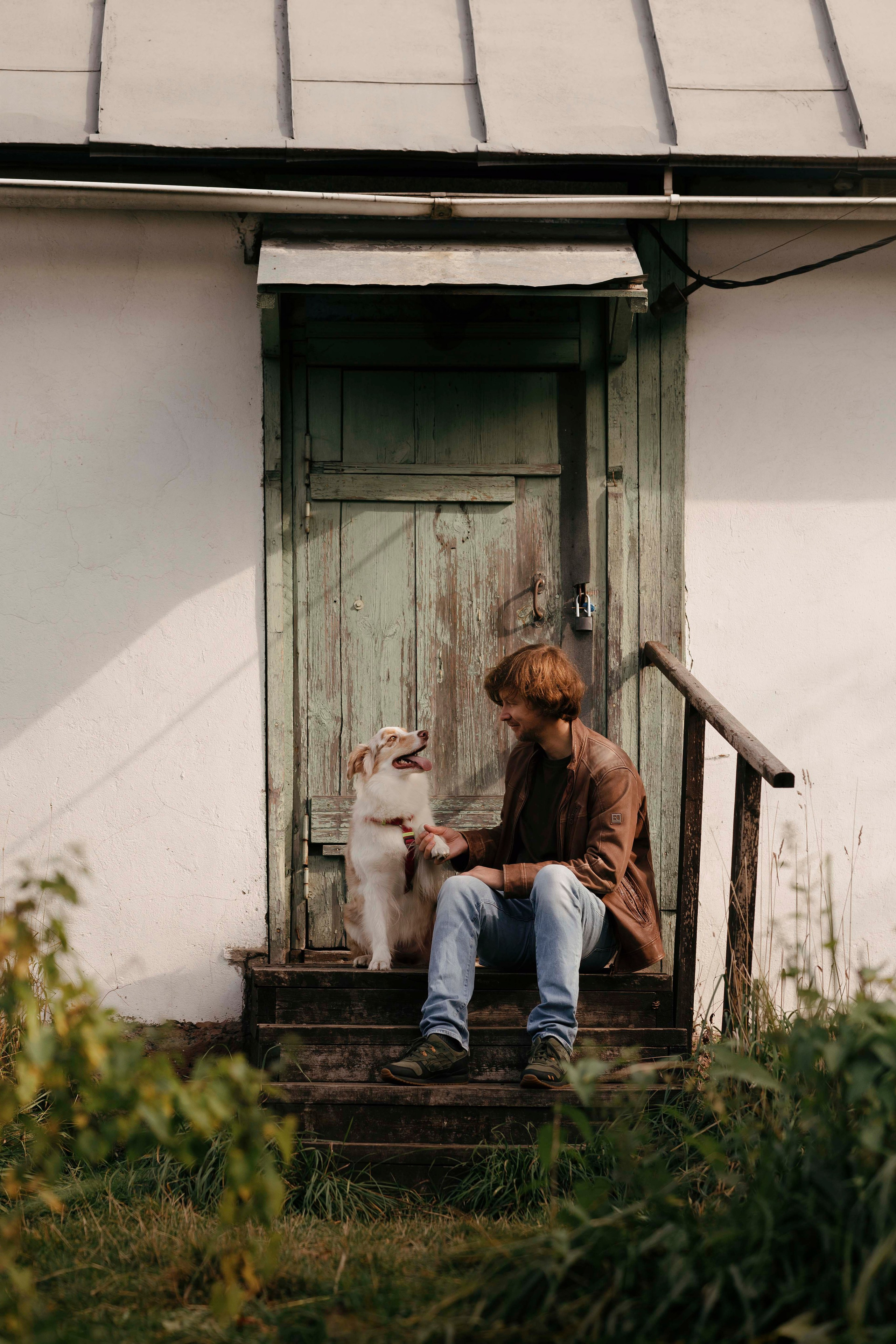 Дженни. Фотограф- анималист Александра Матвеева