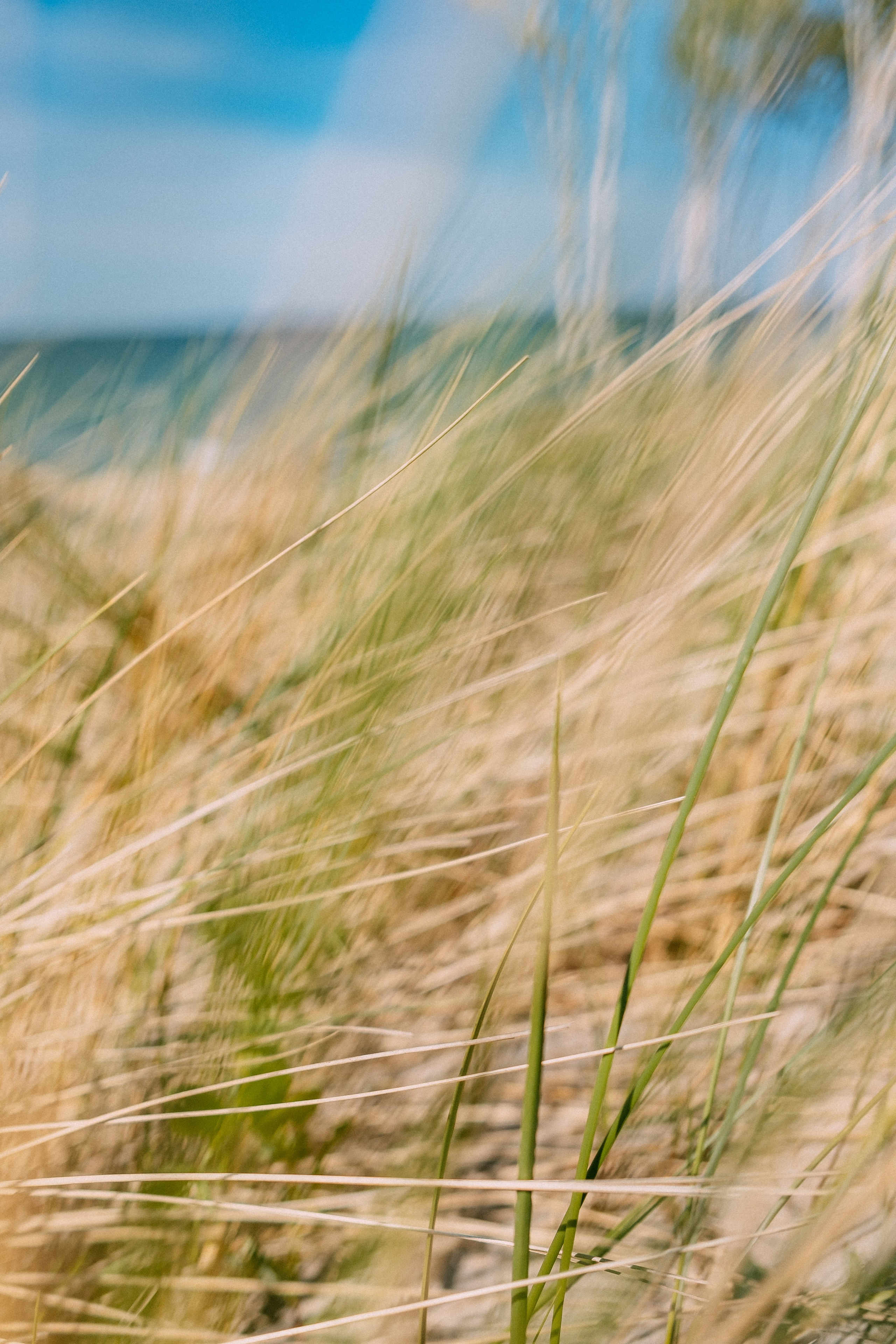 Зеленоградск. Аня Степанова