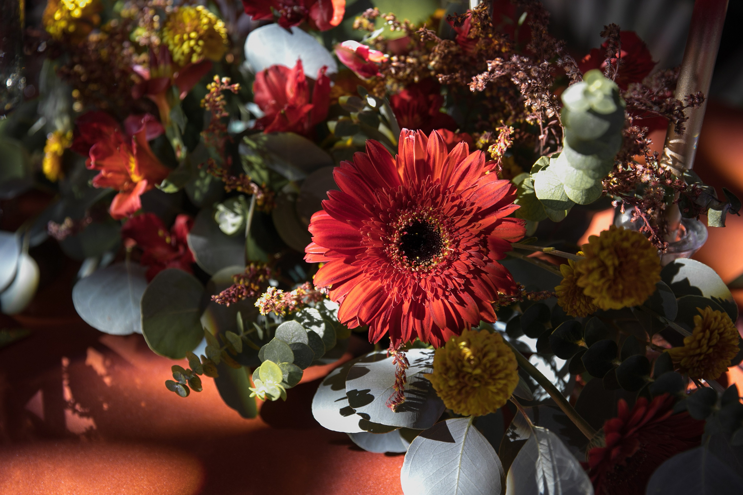 Камерная свадьба. Фотограф Матвеева Татьяна