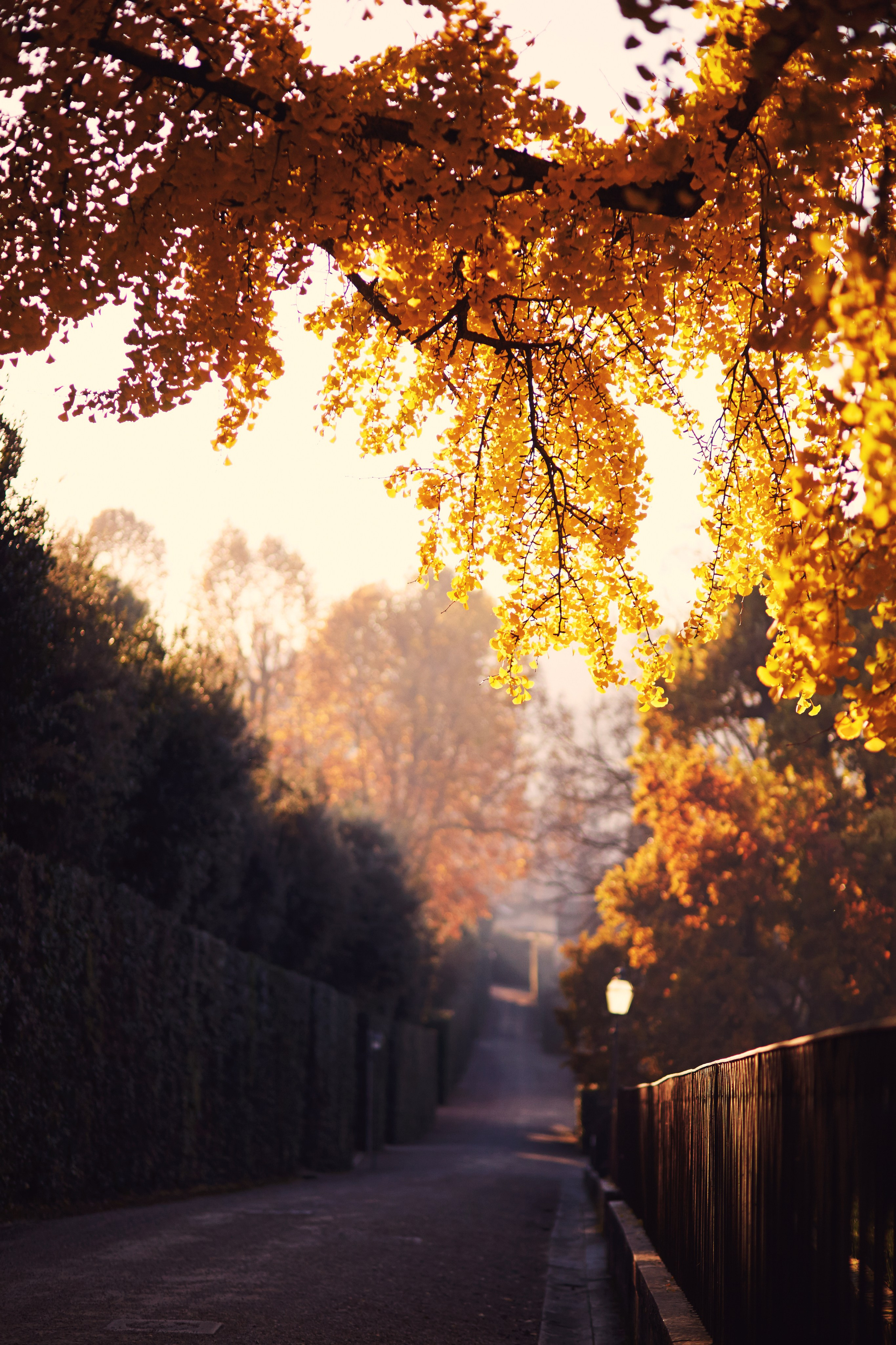 Флоренция. Рекламный коммерческий фотограф в Москве Владимир Лукьянов