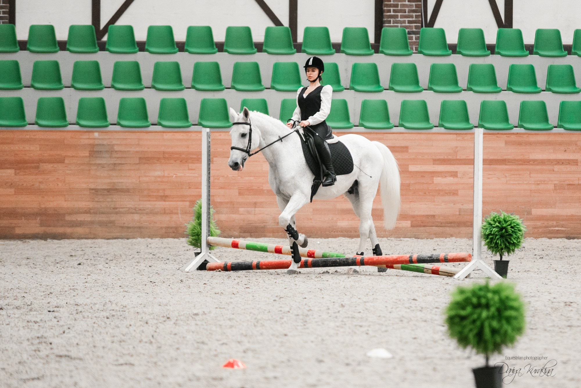 8-я международная выставка Конная Россия. Конный фотограф Куракина Дарья • Фотосессии с лошадьми
