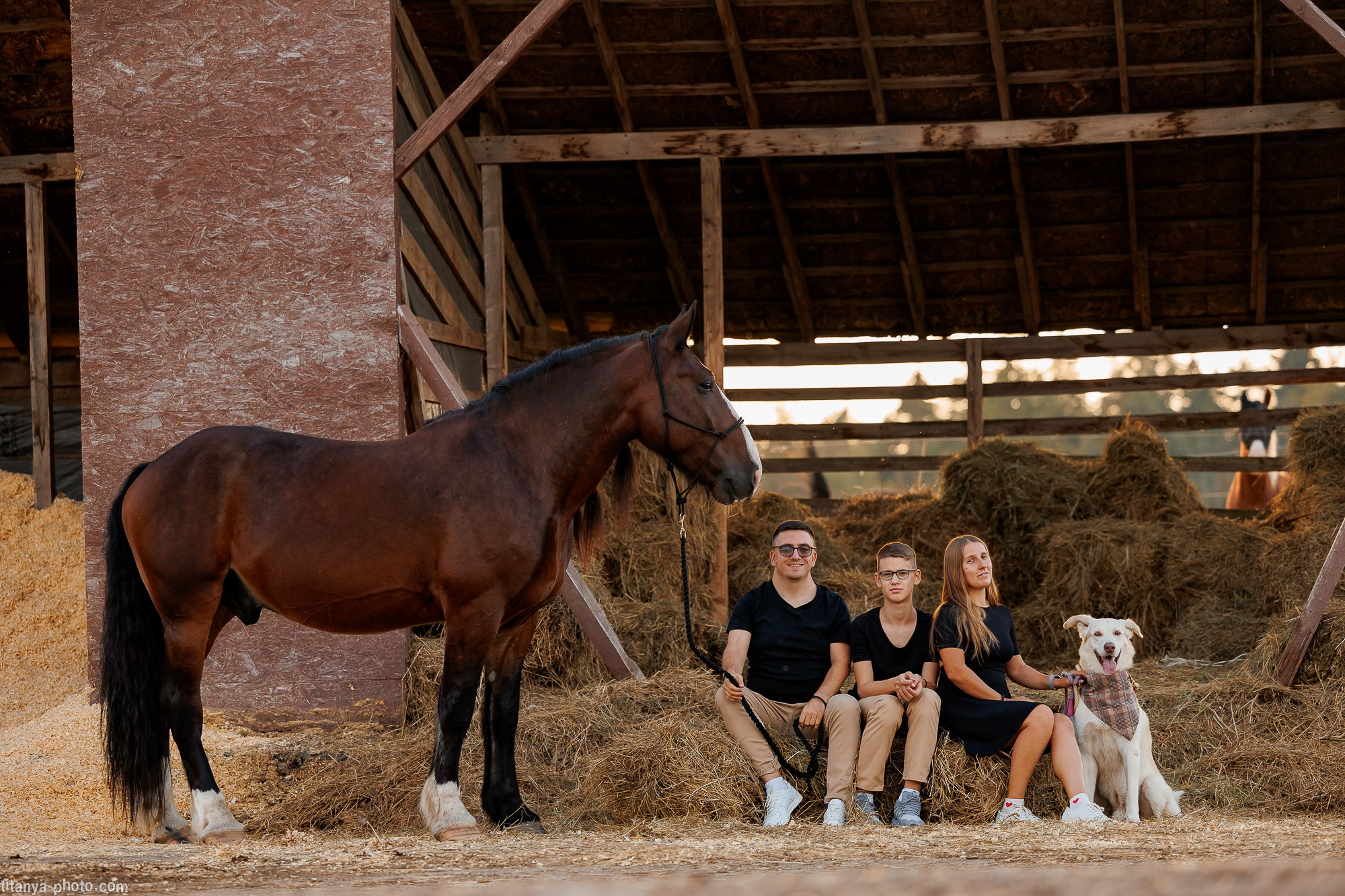 Закатная семейная фотосессия: про Настю и её дружную семью. Фотограф собак, фотограф-анималист Аня Титова (Titanya). Москва