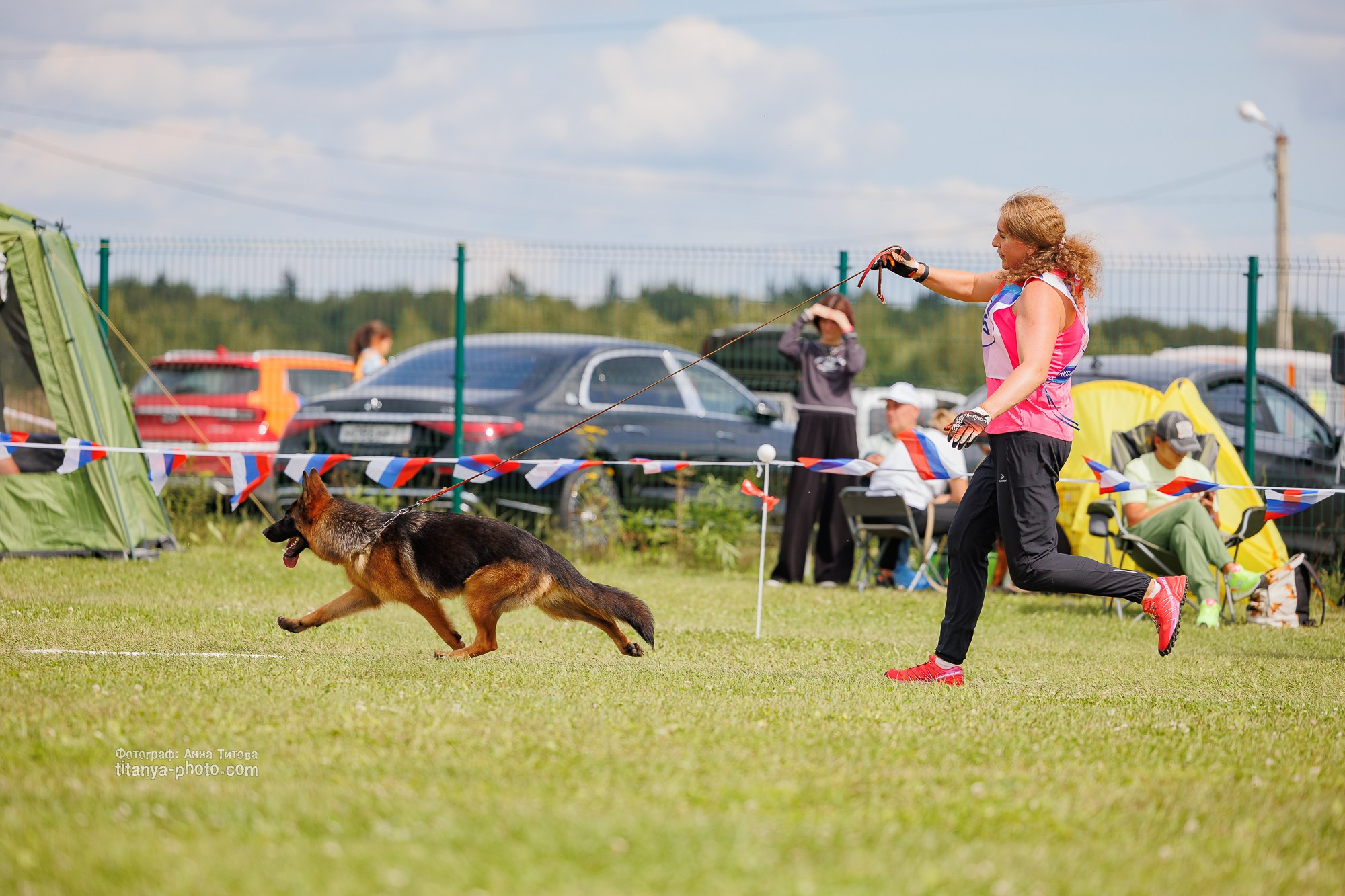Немецкие овчарки: фото из рингов и вне ринга, мутпроба (фотографии с выставок). Фотограф собак, фотограф-анималист Аня Титова (Titanya). Москва